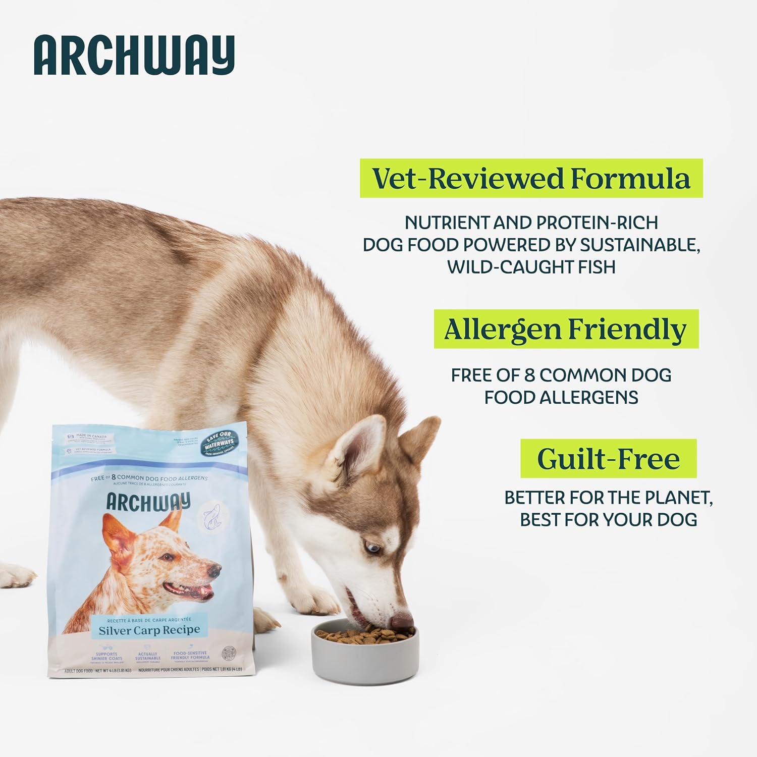 ARCHWAY Silver Carp Limited Ingredient Diet Dry Dog Food - Omega Rich Wild Caught Fish - High Protein, Simple Nutritious Ingredients, Hypoallergenic, Gluten-Free - Adult Dog & Puppy Food (15LB)