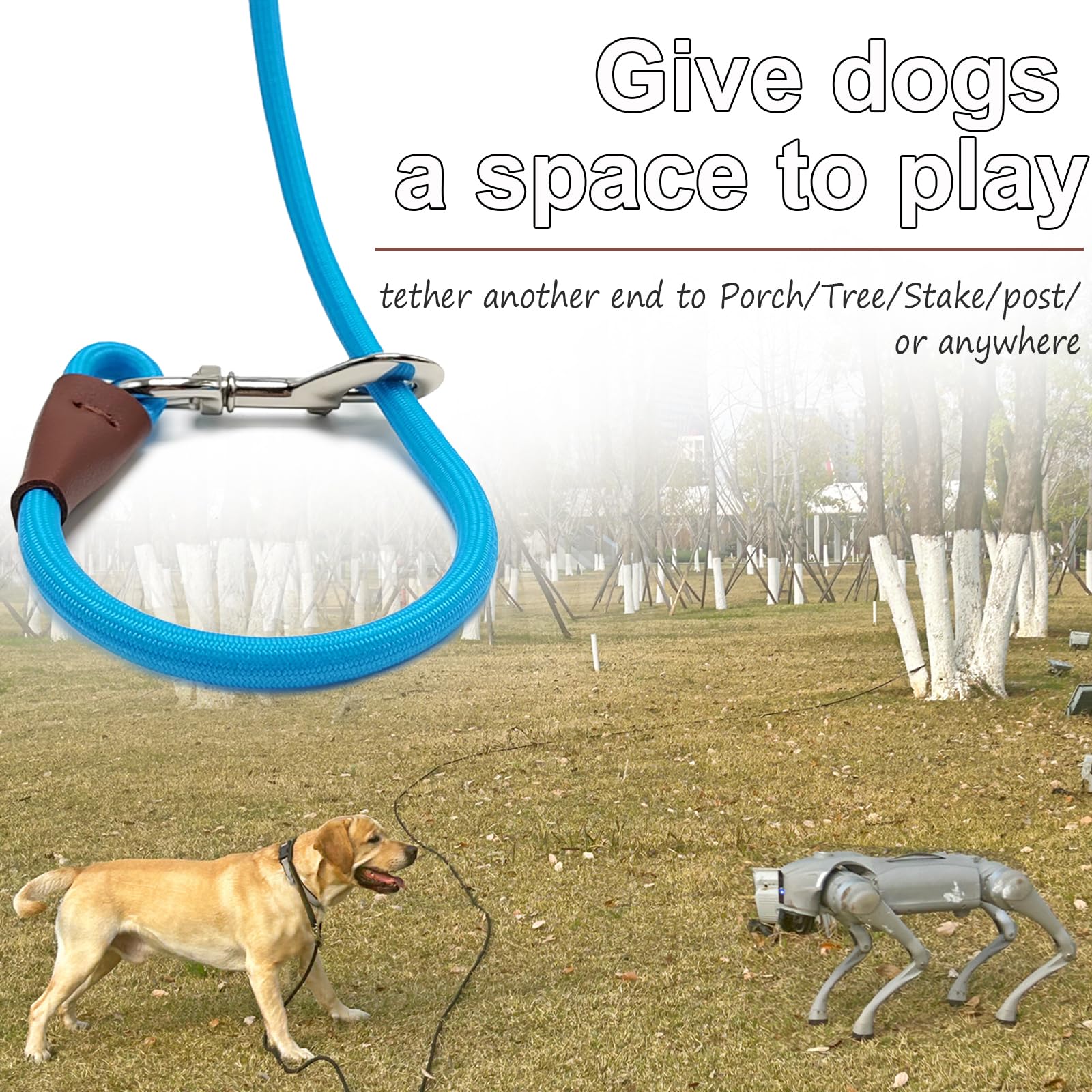 SEPXUFORE Tie Out Rope Dog Tether, 8FT/ 10FT/ 15FT/ 20FT/ 30FT Dog Line for  Outside Playing Camping Tying, Medium Large Dogs Indoor/Outdoor Backyard Dog  Leash (Blue, 3/8