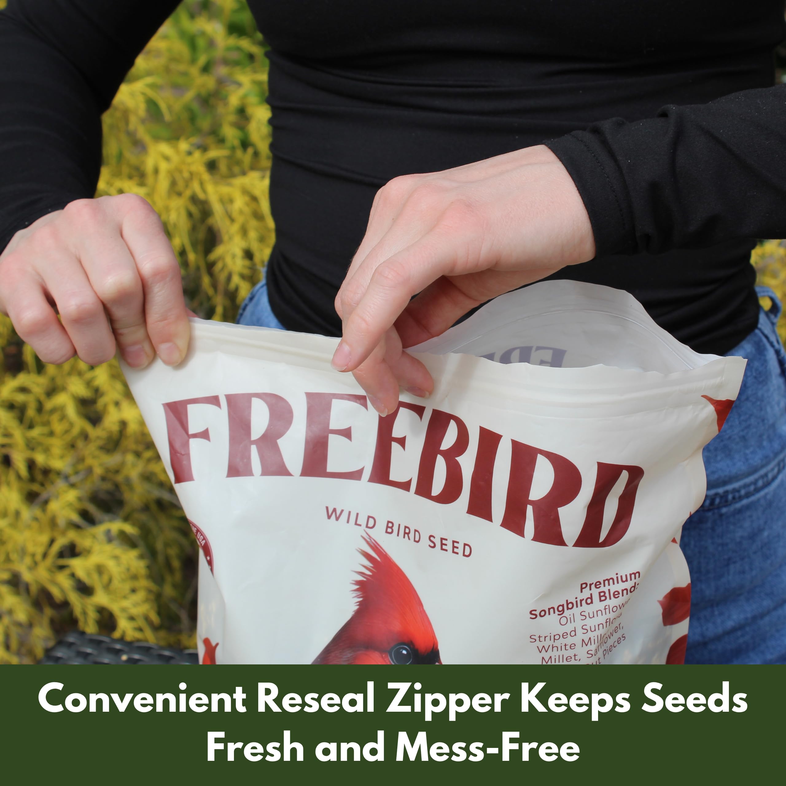Freebird - Mangime per uccelli selvatici, miscela premium per uccelli canori con olio di girasole nero, girasole a strisce, cartamo, pezzi di arachidi, miglio bianco, miglio rosso per cardinali