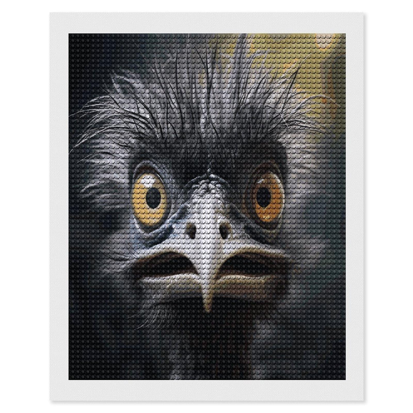 Emu Diamond Art Kits for Adult Round Full Drill Diamond Dots Paintings for Beginner Picture Art DIY Diamond Painting Kits 5D Diamond Art Painting for Home Wall Decor 16"x20"