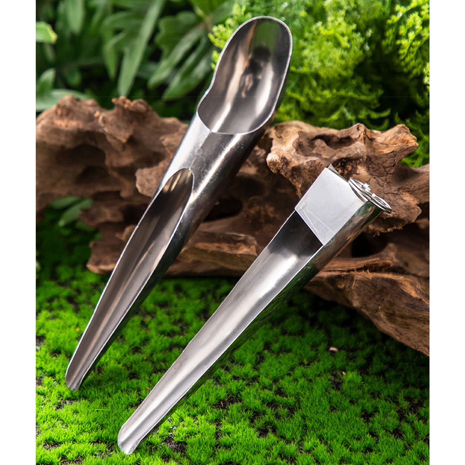 YAODHAOD Fütterungslöffel Für Papageien – 3-tlg., Edelstahl, 12 Cm, Für Babyvögel & Medikamente