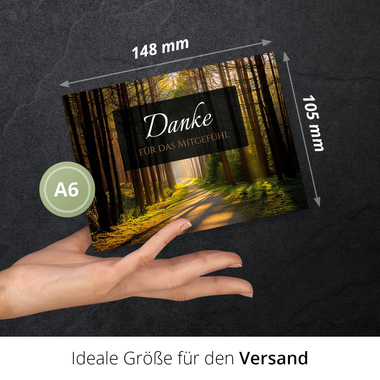 Einladungskarten Manufaktur Hamburg 40 Trauer Danksagungskarten ausfüllbar mit Umschlag - Danke Trauerkarten Postkarten Beerdigung Ausfüllen mit Text Motiv Friedwald Baum Lichtung Wald