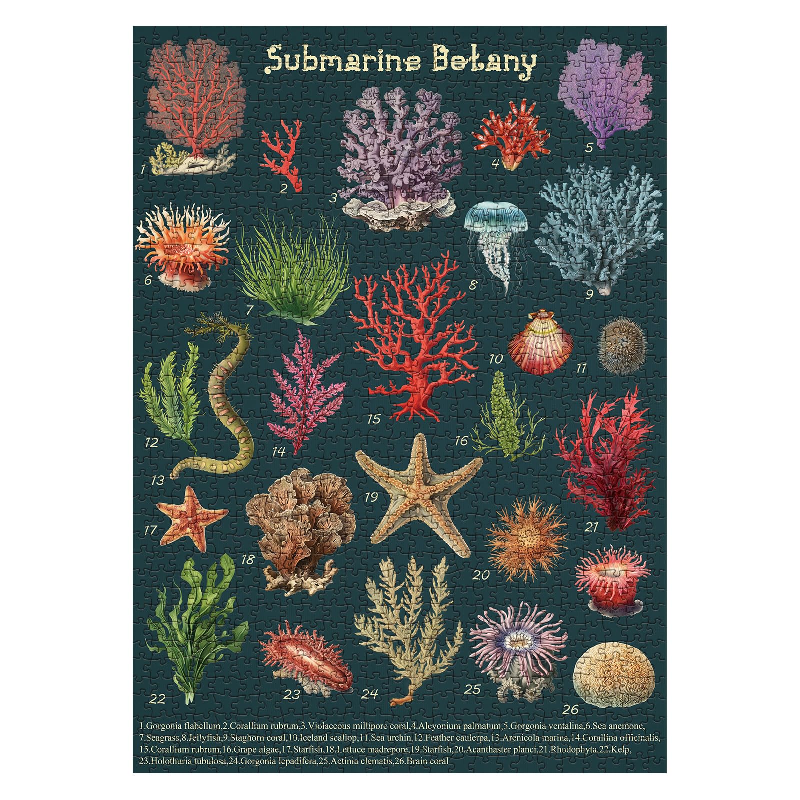 Vintage Ocean Plant Puzzle 1000 Piece for Adults, Retro Botanical Beach Jellyfish Seashell Jigsaw Puzzles, Nautical Sea Life Reef Coral Puzzle