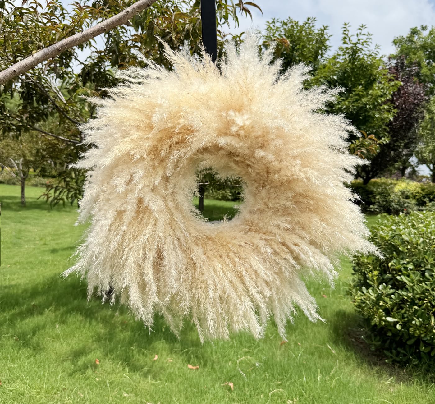 パンパスグラスリース c8b07ca085f216c46286e380126700