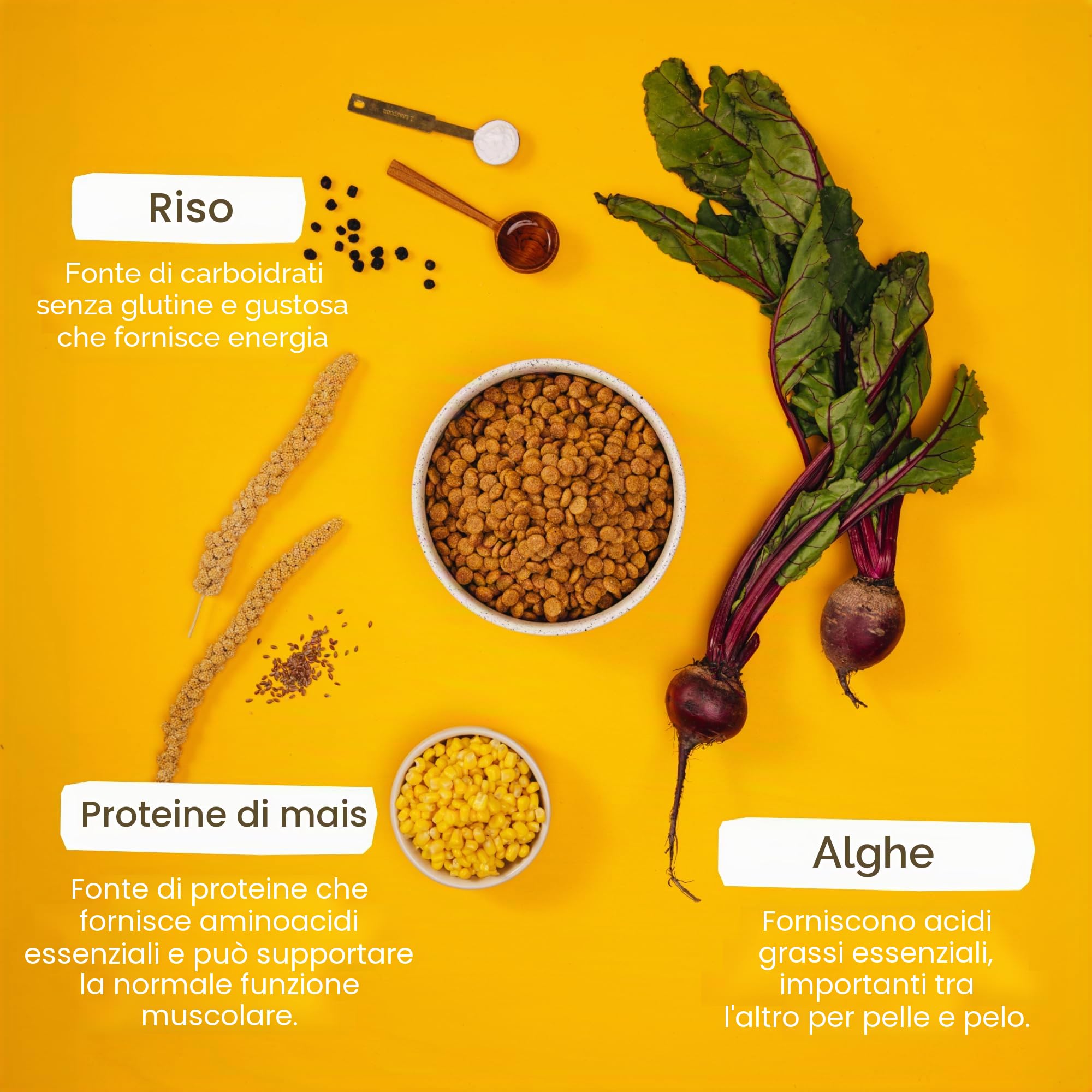 VEGDOG Simply Crunch - Cibo secco ipoallergenico (10 kg), per cani adulti, senza glutine e soia, ben tollerato, a basso contenuto di purina; alimento completo per chi soffre di allergie con proteine