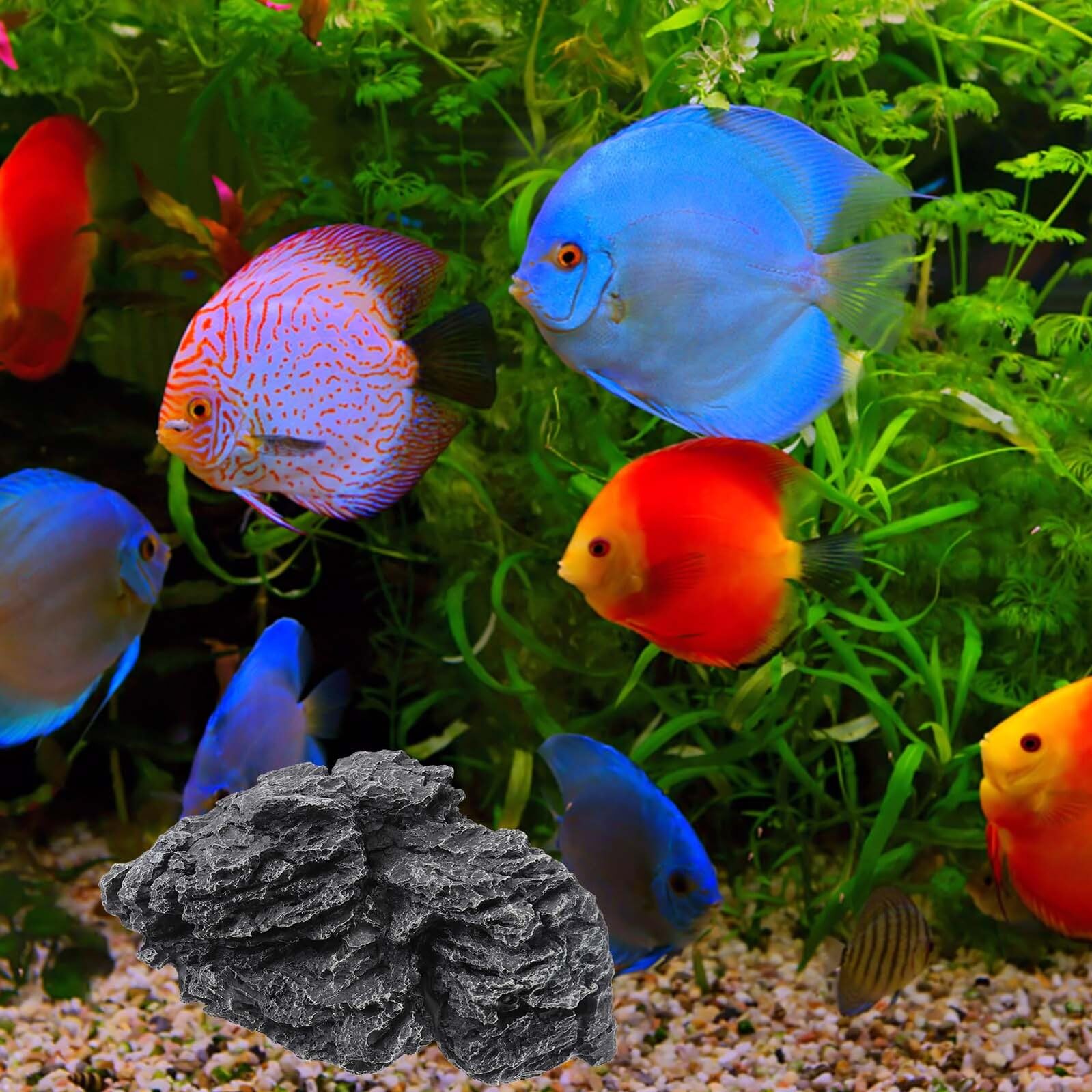 Didiseaon Decorazione per Acquario in Resina Pietra Realistica Sicura per Animali Acquatici e Terrari Effetto Naturale per Allestimenti di Acquari e Bonsai