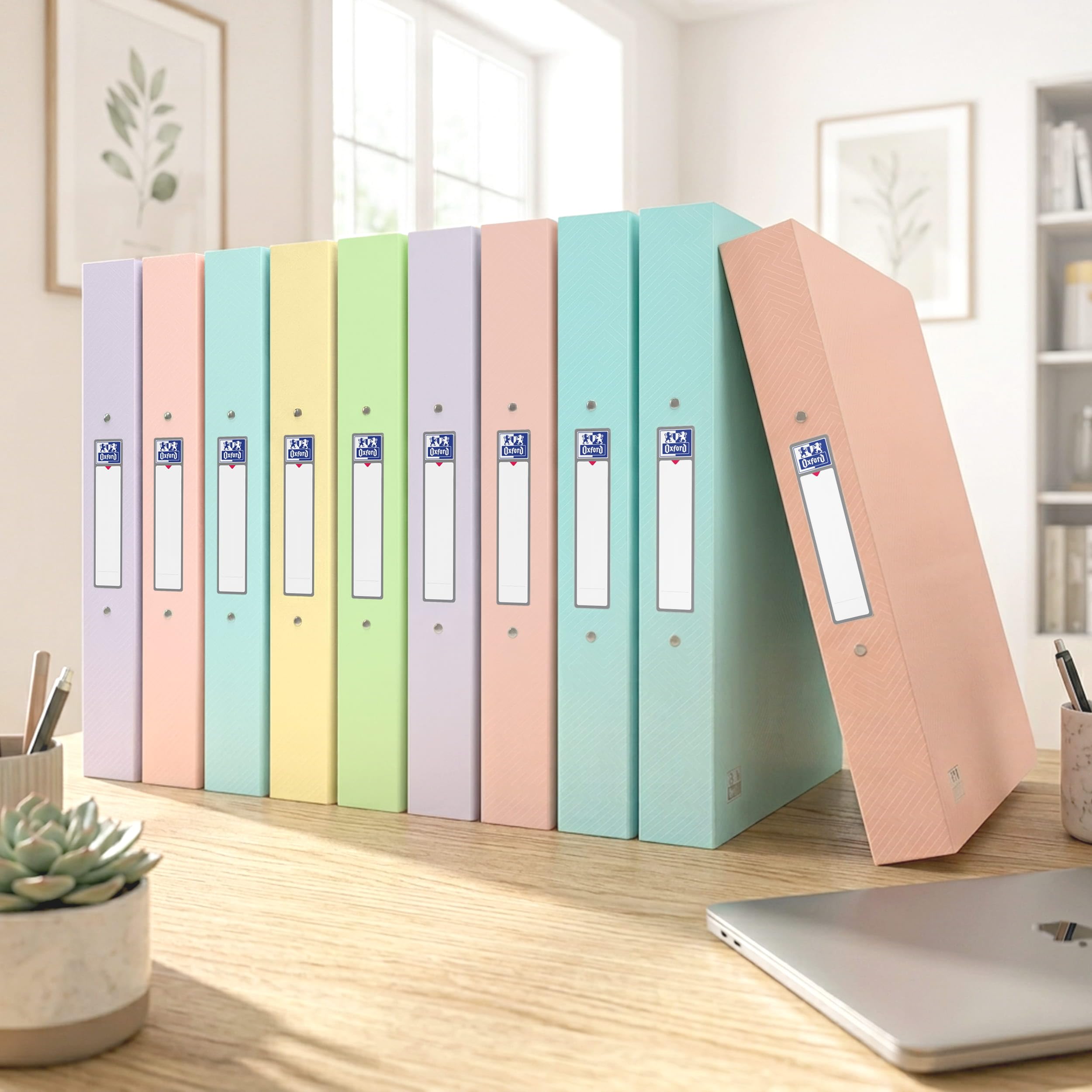 Oxford Urban A4 Ringordner 10er-Pack, 2-Ring-Mechanismus, 40 mm Rücken, bis 250 Blatt, Pastellfarben – Dokumentenordner für Büro, Schule & Home-Office