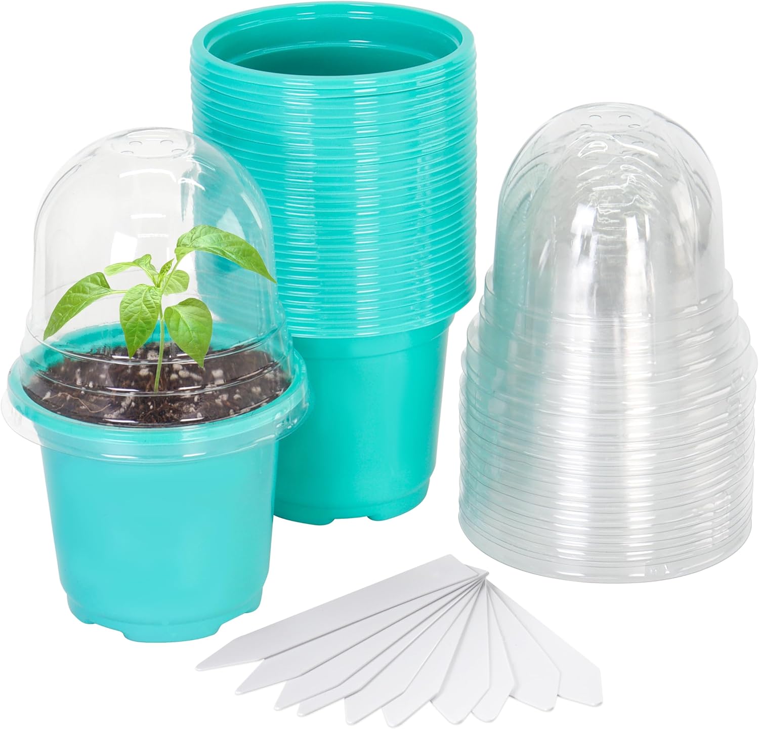 Bluepro Mint Green Nursery Pots with Humidity Dome 30 Sets 4" Transparent Plastic