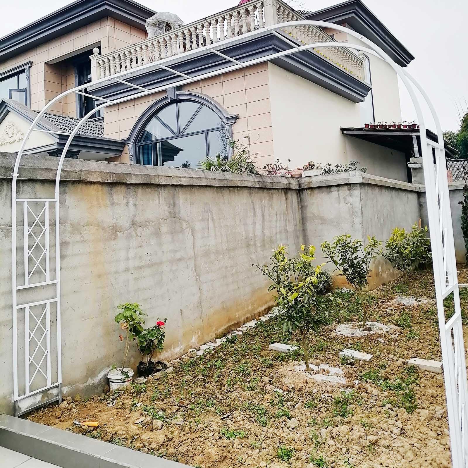 View 8