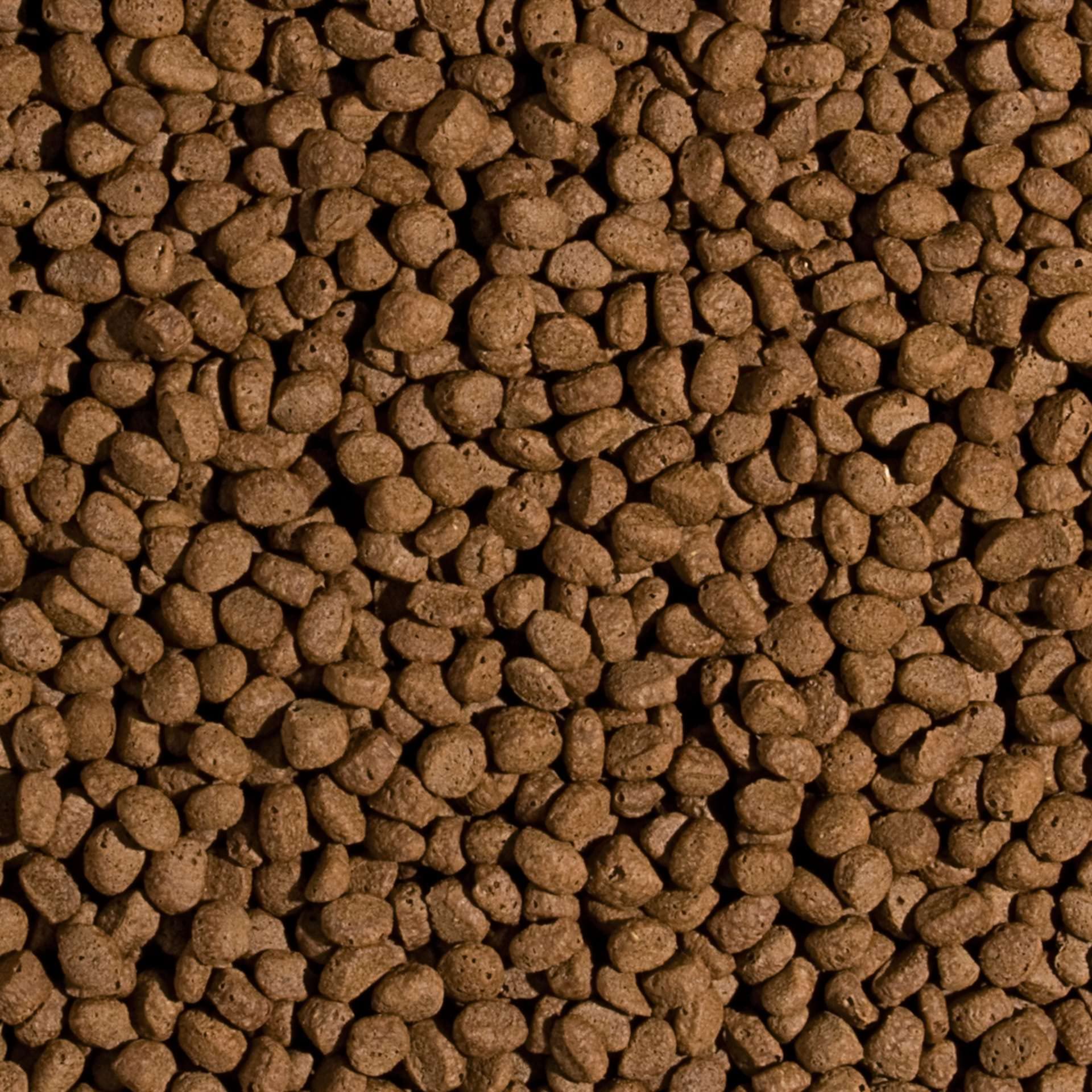 Tropical KOI Wheat Germ & Garlic Pellet Size M 7kg - Alimento con ajo para la alimentación Diaria de koi Medio en una Amplia Gama de temperaturas del Agua: de 8 a 30°C