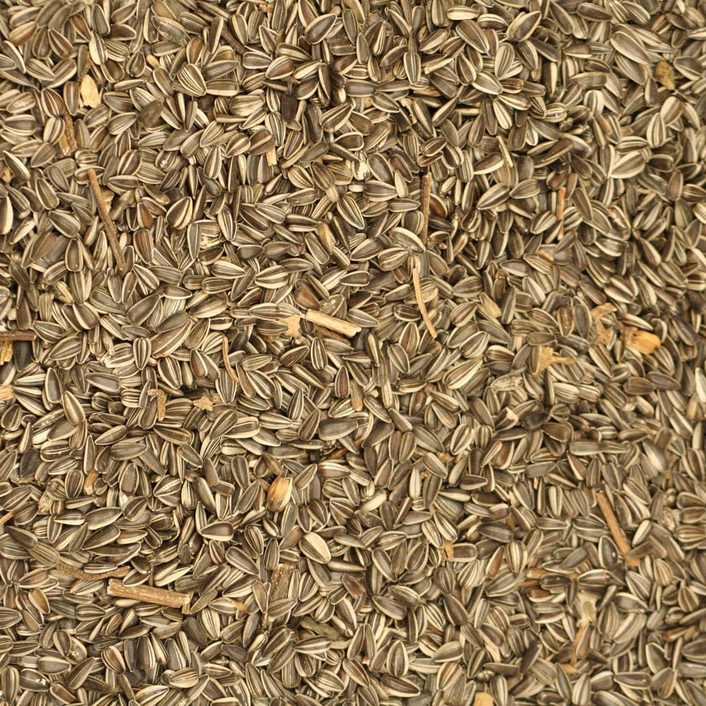 Johnston & Jeff Medium Striped Sunflower Seed 10Kg - Wild Bird Seed