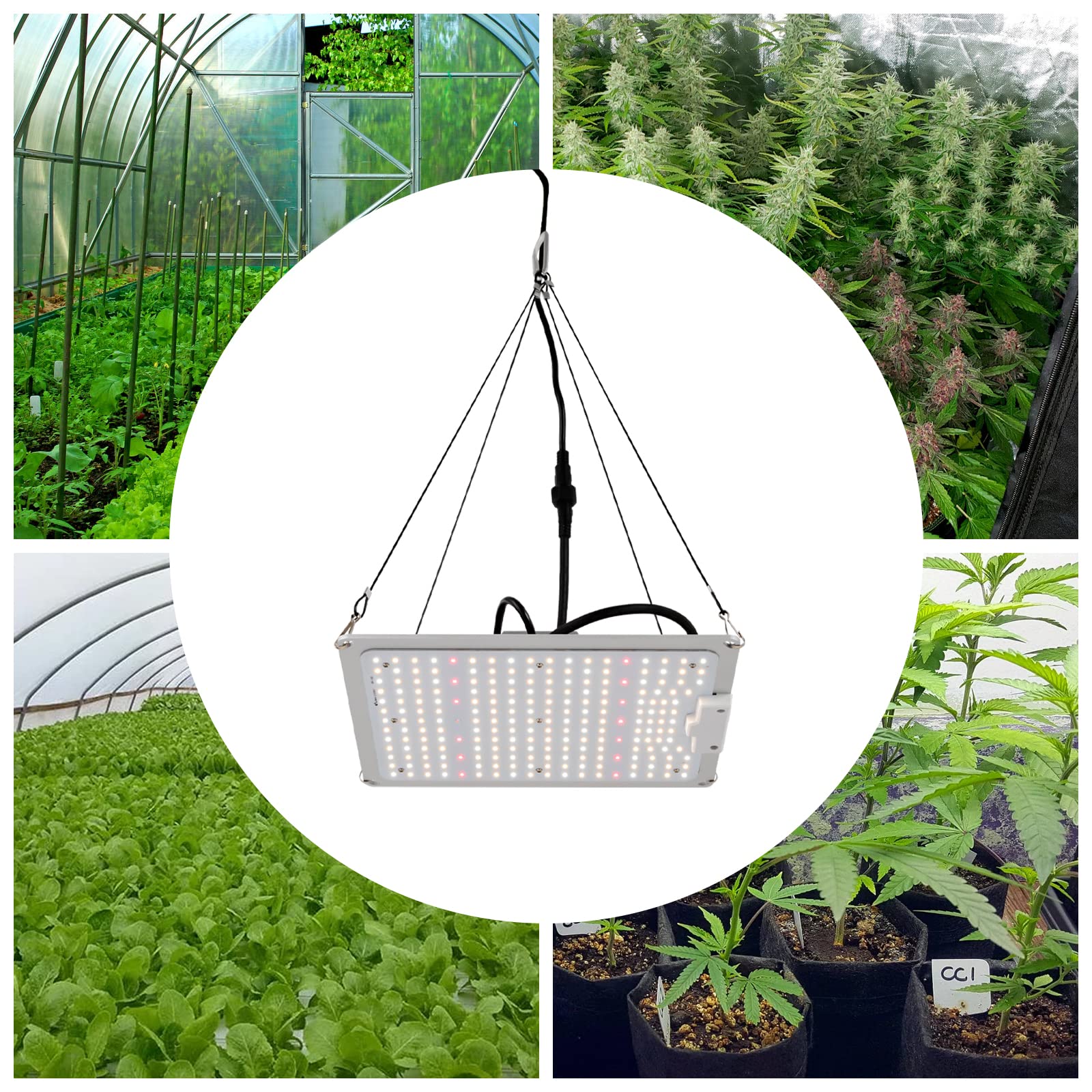 Lámpara LED de cultivo de 100 W de espectro completo para plantas de interior, verduras, flores, con placa LED IP65 impermeable