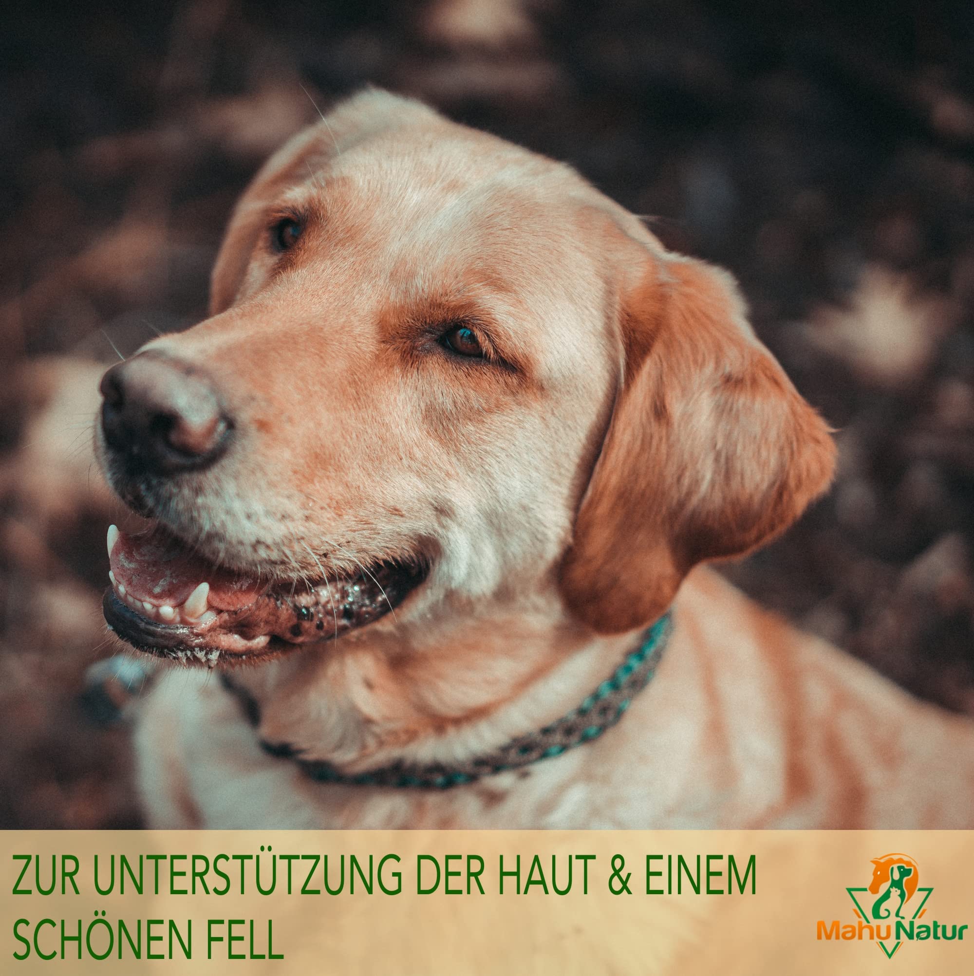 Dorschlebertran Für Hunde & Katzen 1 Liter I Natürlicher Barf Öl Zusatz - Dorschöl Für Hunde Mit Viel Omega 3 (EPA + DHA) & Vitaminen I In Recyclebarer Dose