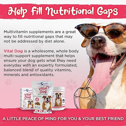 Miniatura 6 de Vital Planet - Vital Dog - Suplemento masticable con múltiples vitaminas para la salud diaria con vitaminas, minerales y antioxidantes para perros -