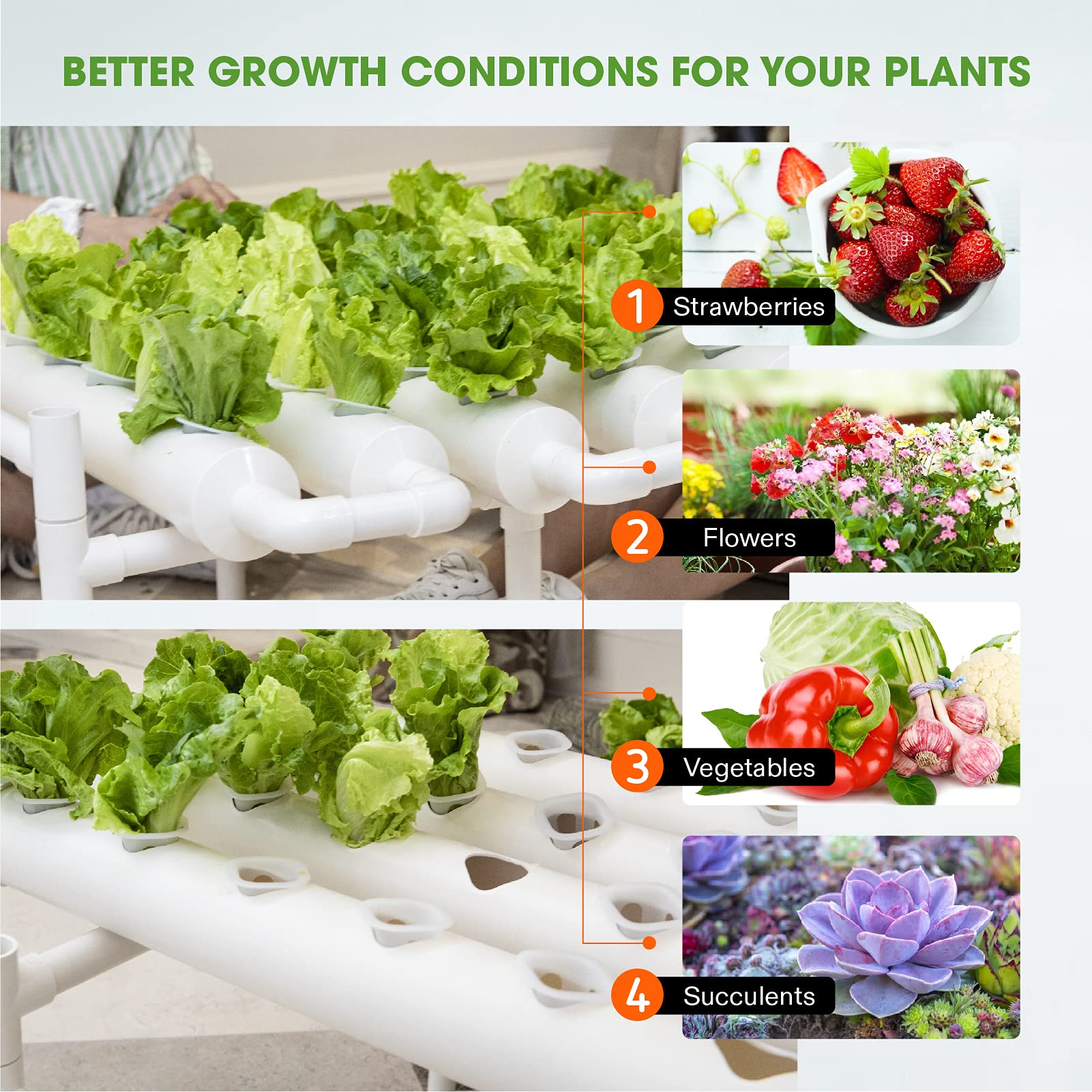 Hydroponics Growing System, 36 Sites 1 Layer, 4 Food-Grade PVC-U