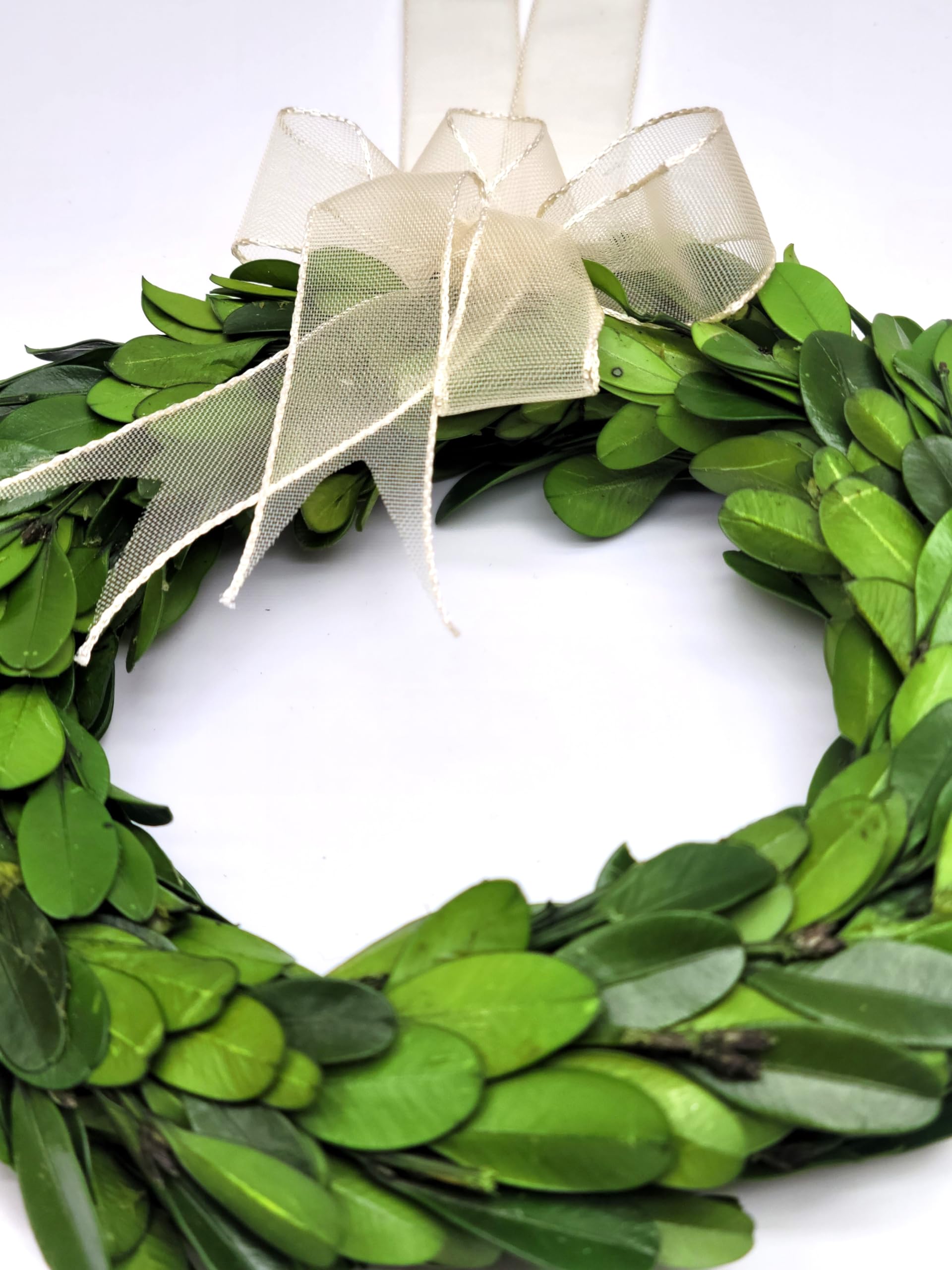 Tradingsmith Preserved Boxwood Wreath 6 in