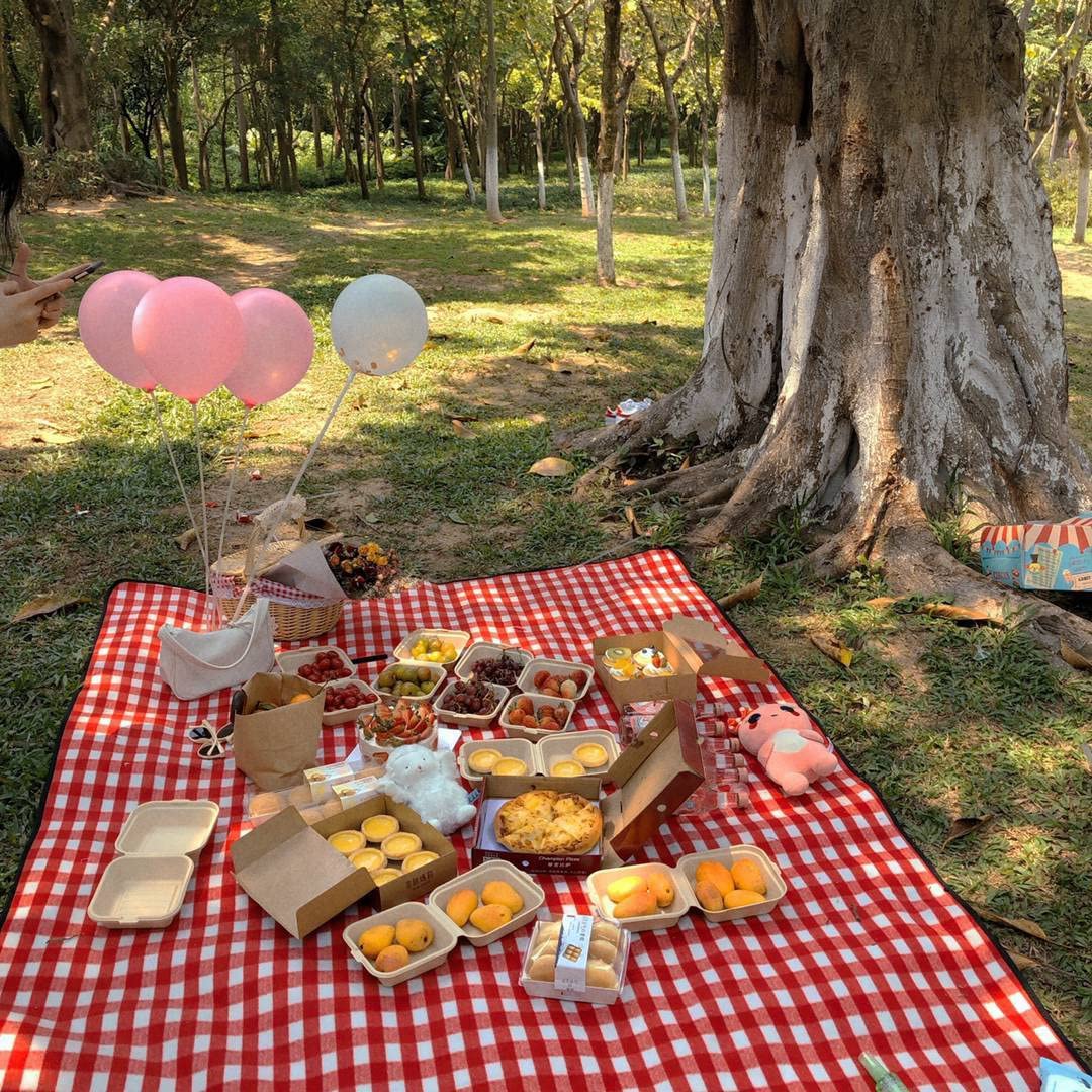 Orton Panier de pique-nique en osier style campagnard avec couvercle, poignée et doublures pour pique-niques, fêtes et barbecues