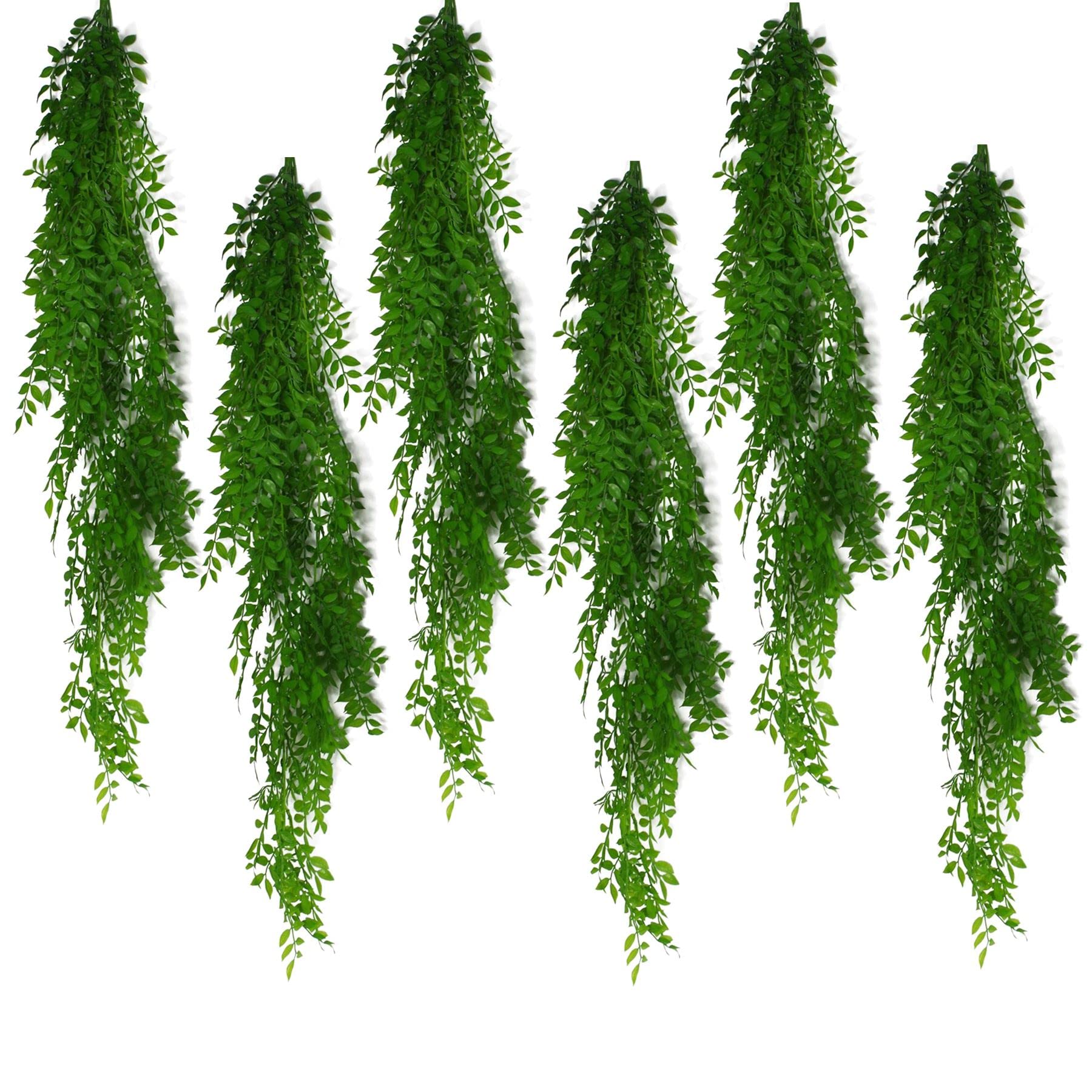 Leaf Hanging Pearls Fern Plant 100cm Light Green Pack of 6