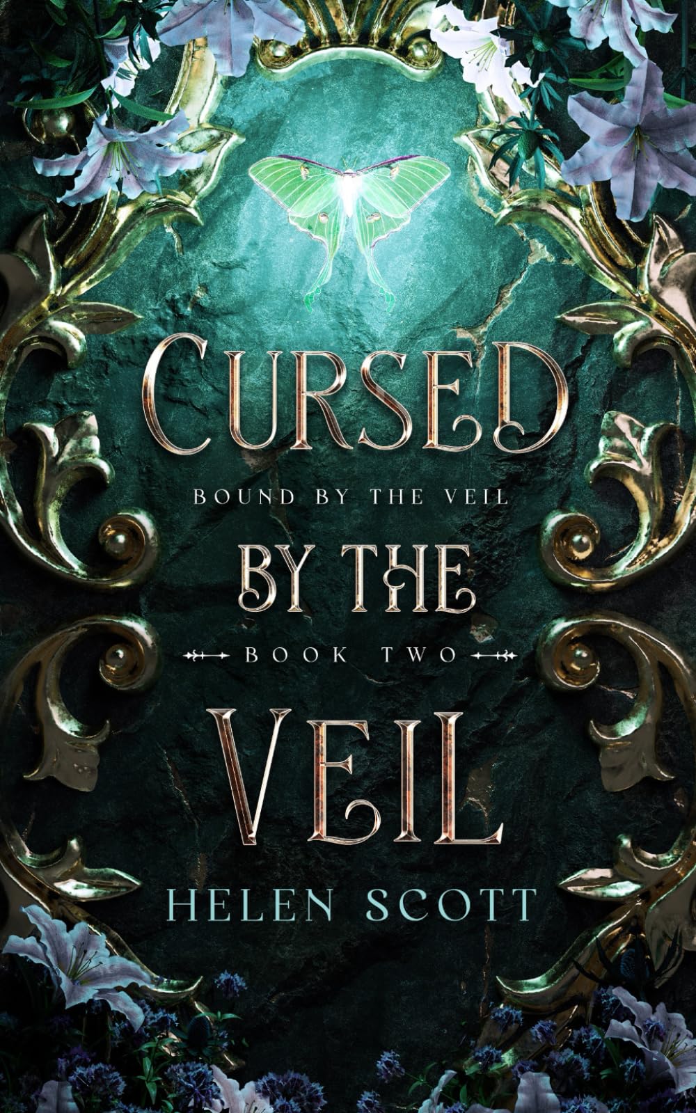 Cursed by the Veil (Bound by the Veil)
