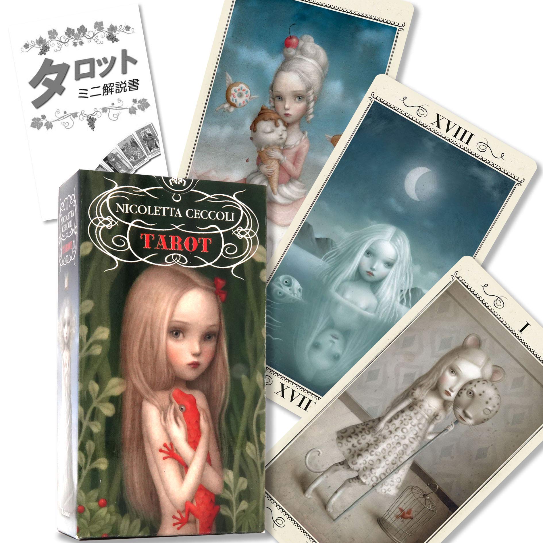 Nicoletta Ceccoli　ニコレッタ・チェッコリ　画集 Amazon.co.jp: 洋書 Nicoletta Ceccoli ニコレッタチェッコリ 画集