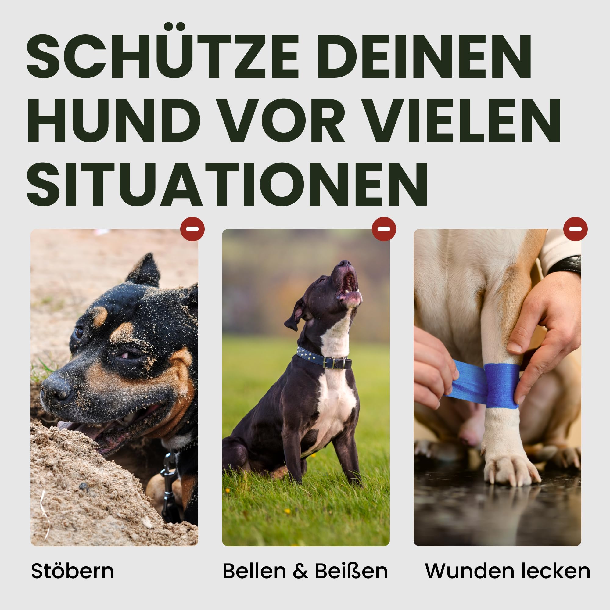 BRONZEDOG Edelstahl Metallmaulkorb für Extra Große Hunde, ermöglicht Hecheln und Trinken (Cane Corso)