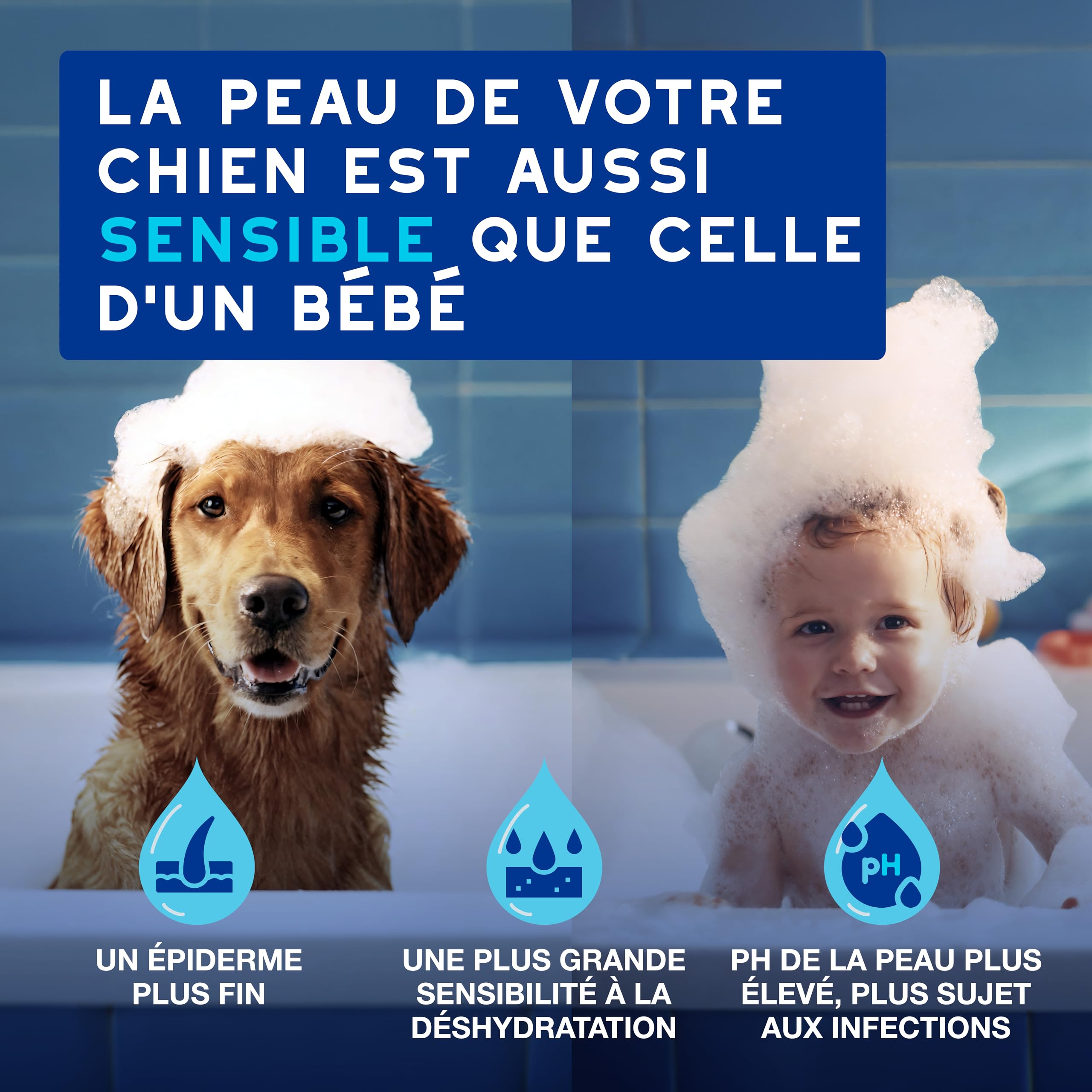 DOUXO Skin & Coat Spa - Ultra-Safe nettoyant auriculaire pour Chiens et Chats, 120 ML, nettoie l'oreille en Toute sécurité, Formule respectueuse de la Peau.
