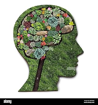 CRESCITA PERSONALE ( LIBRO COMPLETO ): STRUMENTI SEMPLICI PER CAMBIARE ABITUDINI, MENTE E VITA