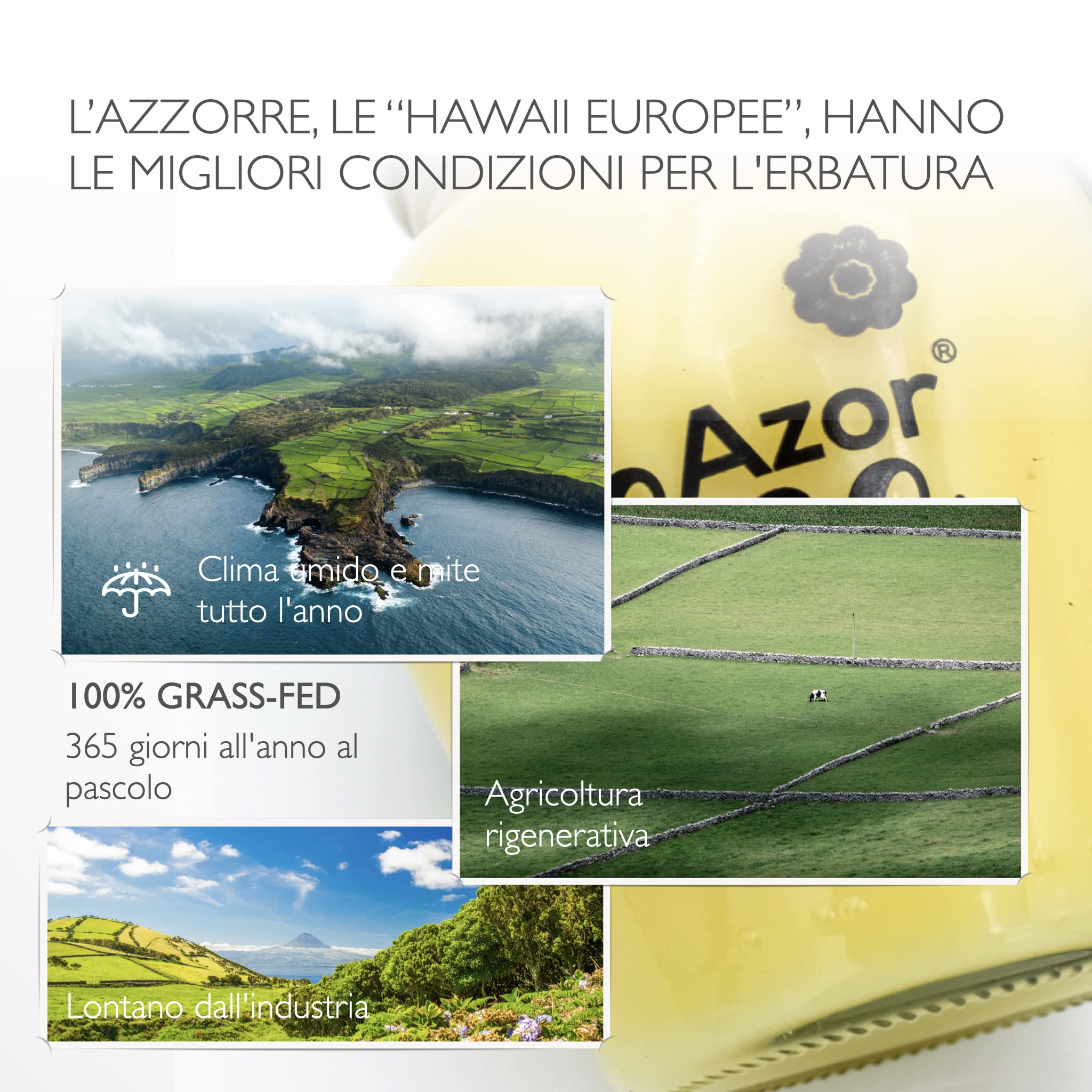 PROTERO Ghee d'Azzorre | 365' pascolo | burro chiarificato puro | grass-fed