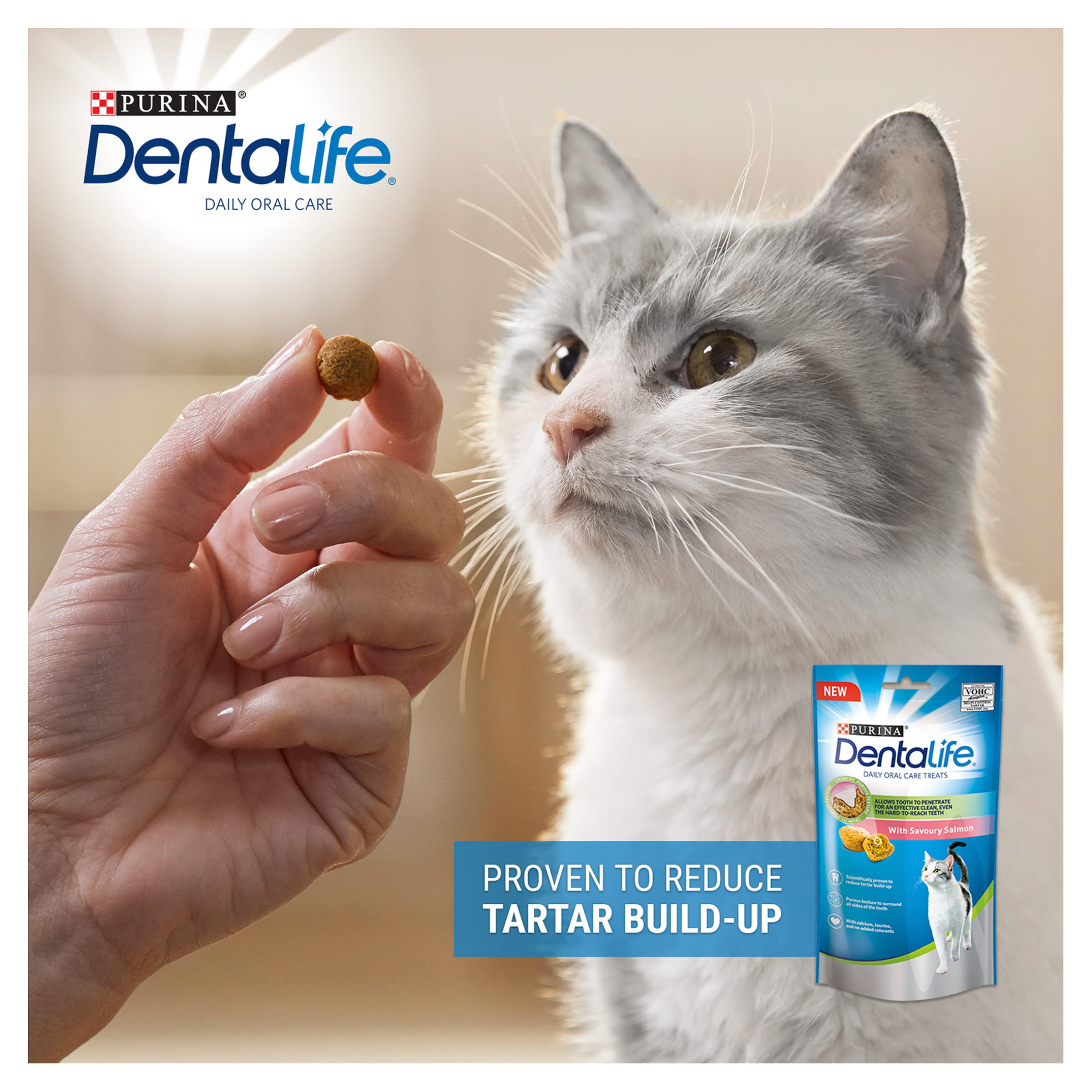 DENTALIFE Dental Salmon Cat Treats 40g (Pack of 8), red, 0.04 g (Pack of 8) - Image 4
