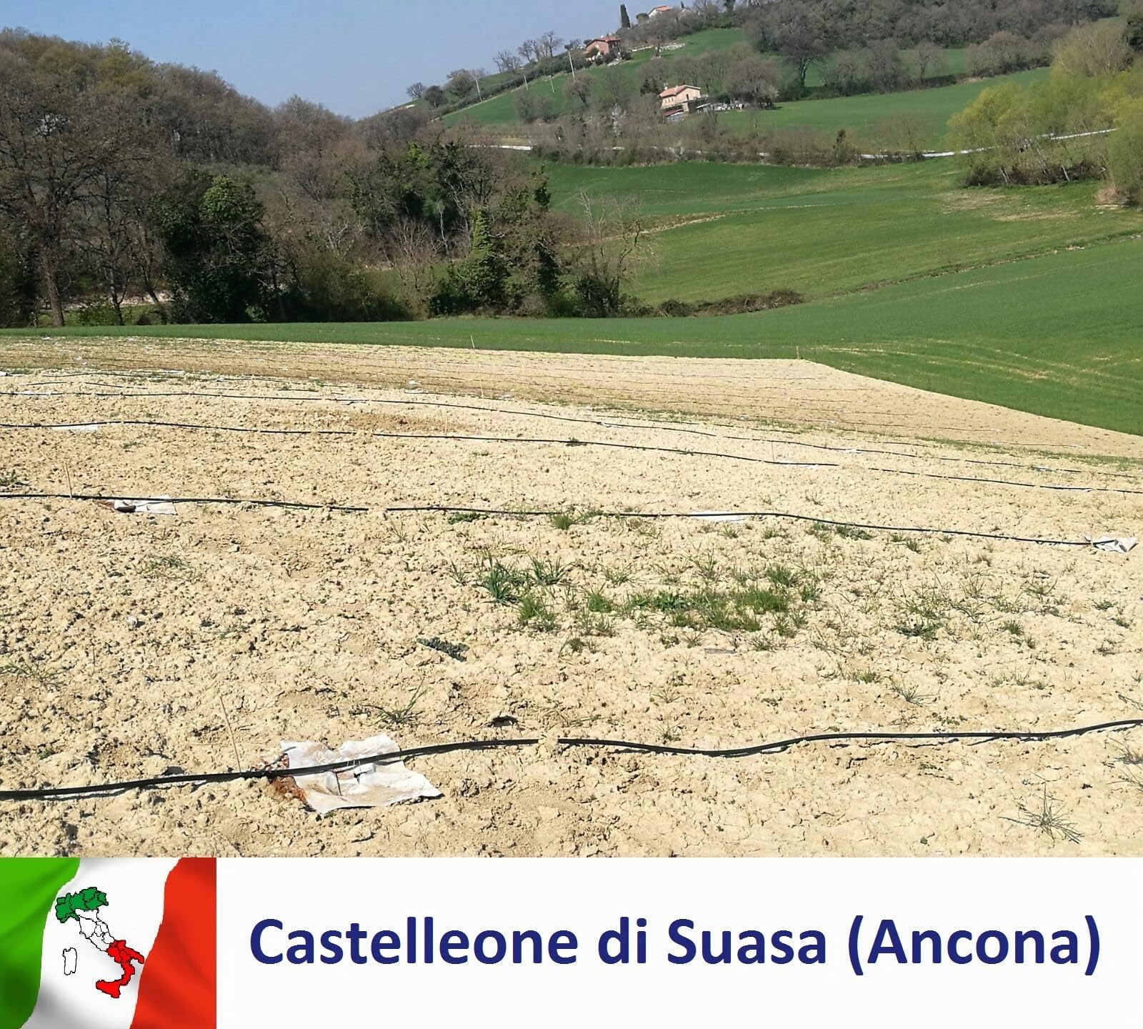 Ala gocciolante ALTA RESISTENZA passo 80-38 mls 100 mt tubo goccia microirigazione ATP 4 fori