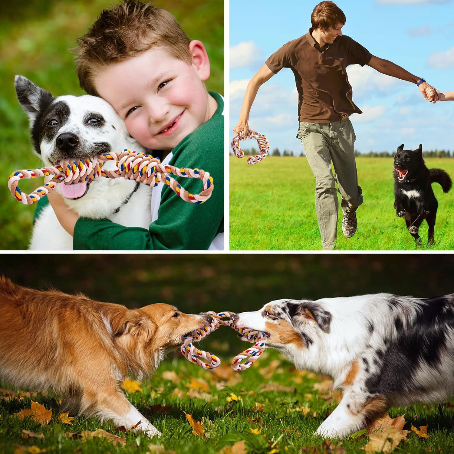 5 Stück Hunde Kauspielzeug Seil - Zerrspielzeug Mit Knoten Für Welpen & Hunde