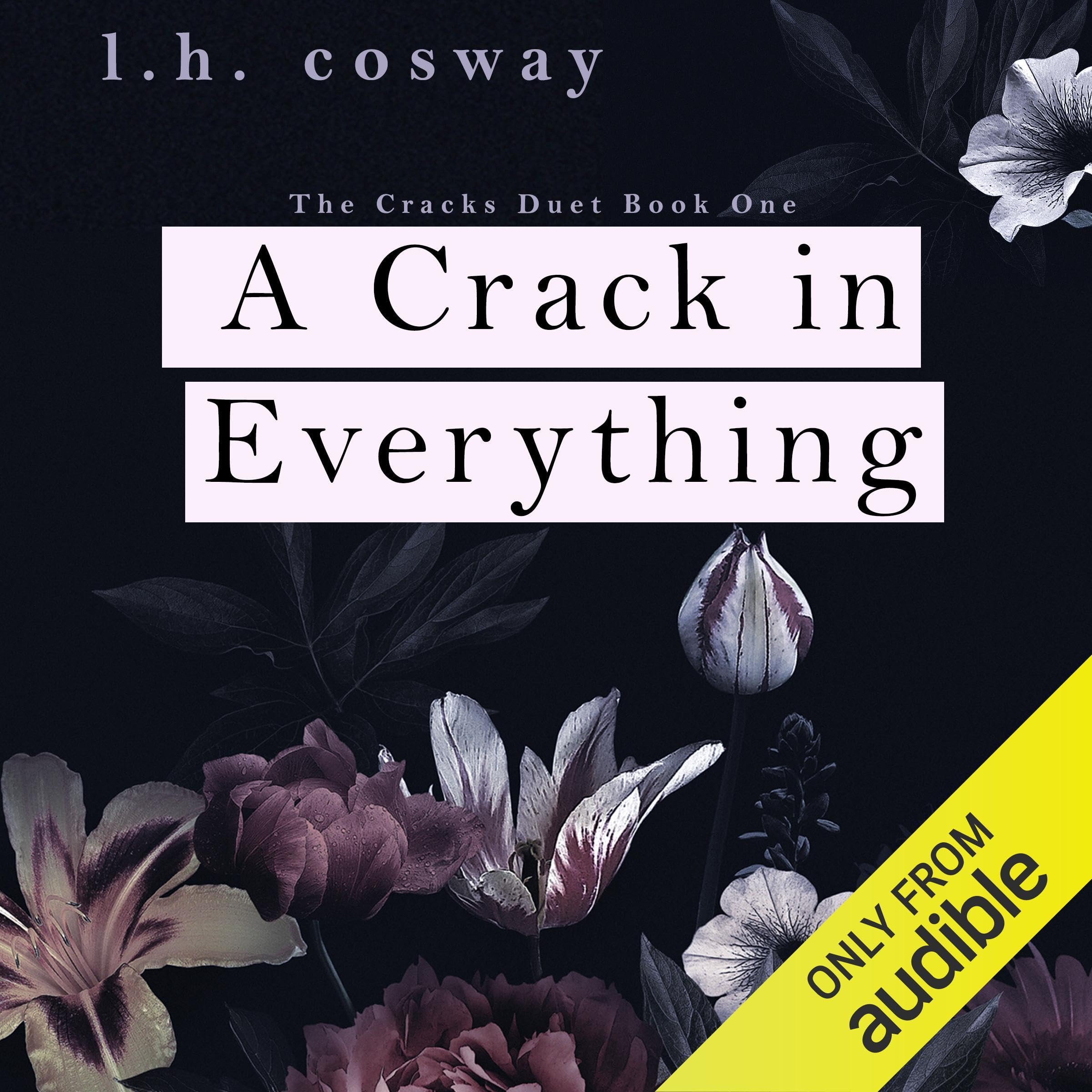 Cover art for A Crack in Everything