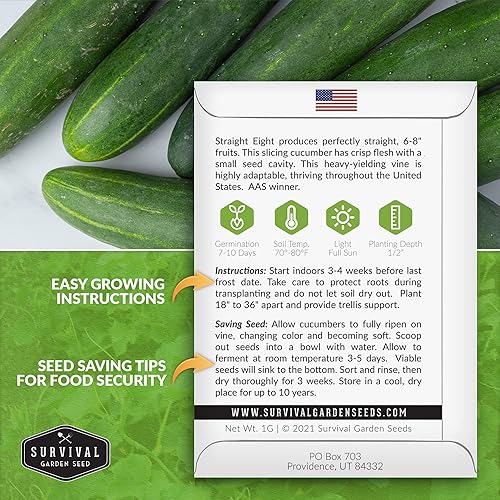 Miniatura 2 de 5 paquetes de semillas de pepino rectas de ocho para plantar, paquete con instrucciones para cultivar pepinos en decapado y rebanar pepinos en tu