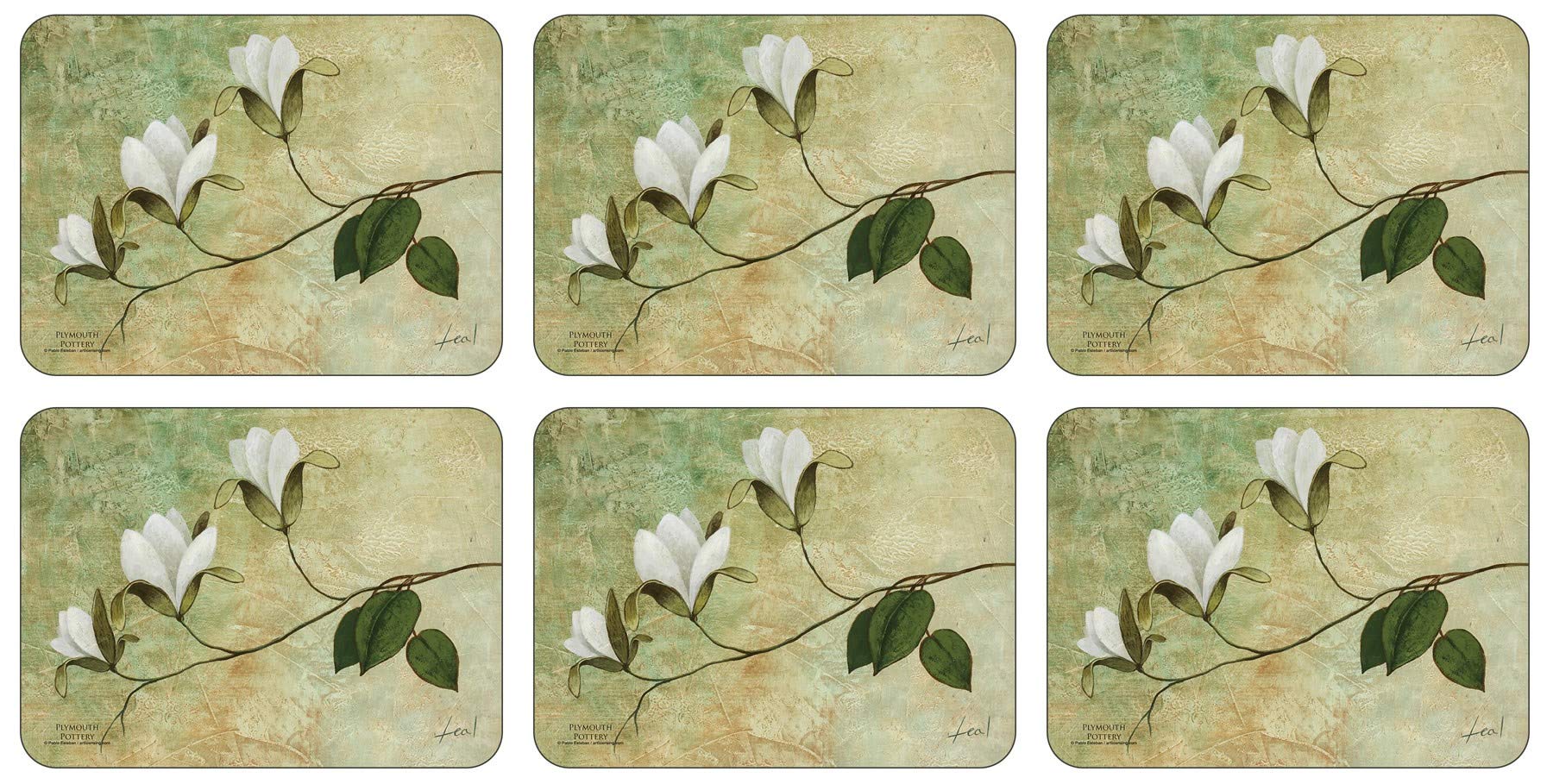 Plymouth Pottery Ivory Blossom Placemats Set Of Desertcart