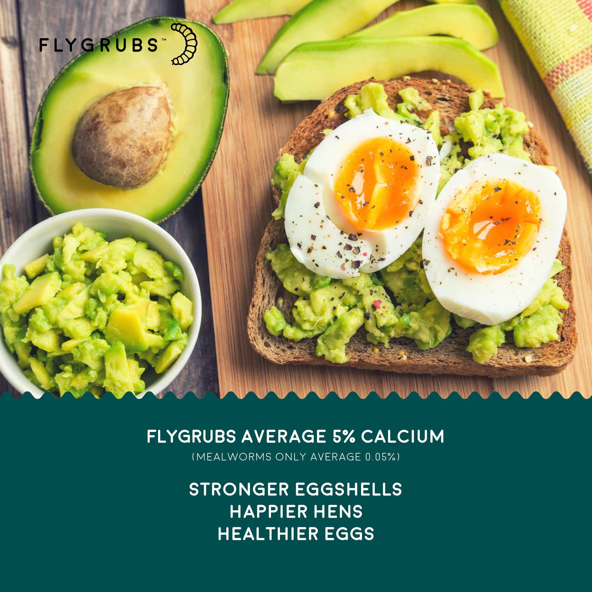 Buy FLYGRUBS Superior to Dried Mealworms for Chickens (1lb) 85X More Calcium Than Live