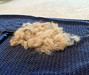 Review Image by Complexity Complexity