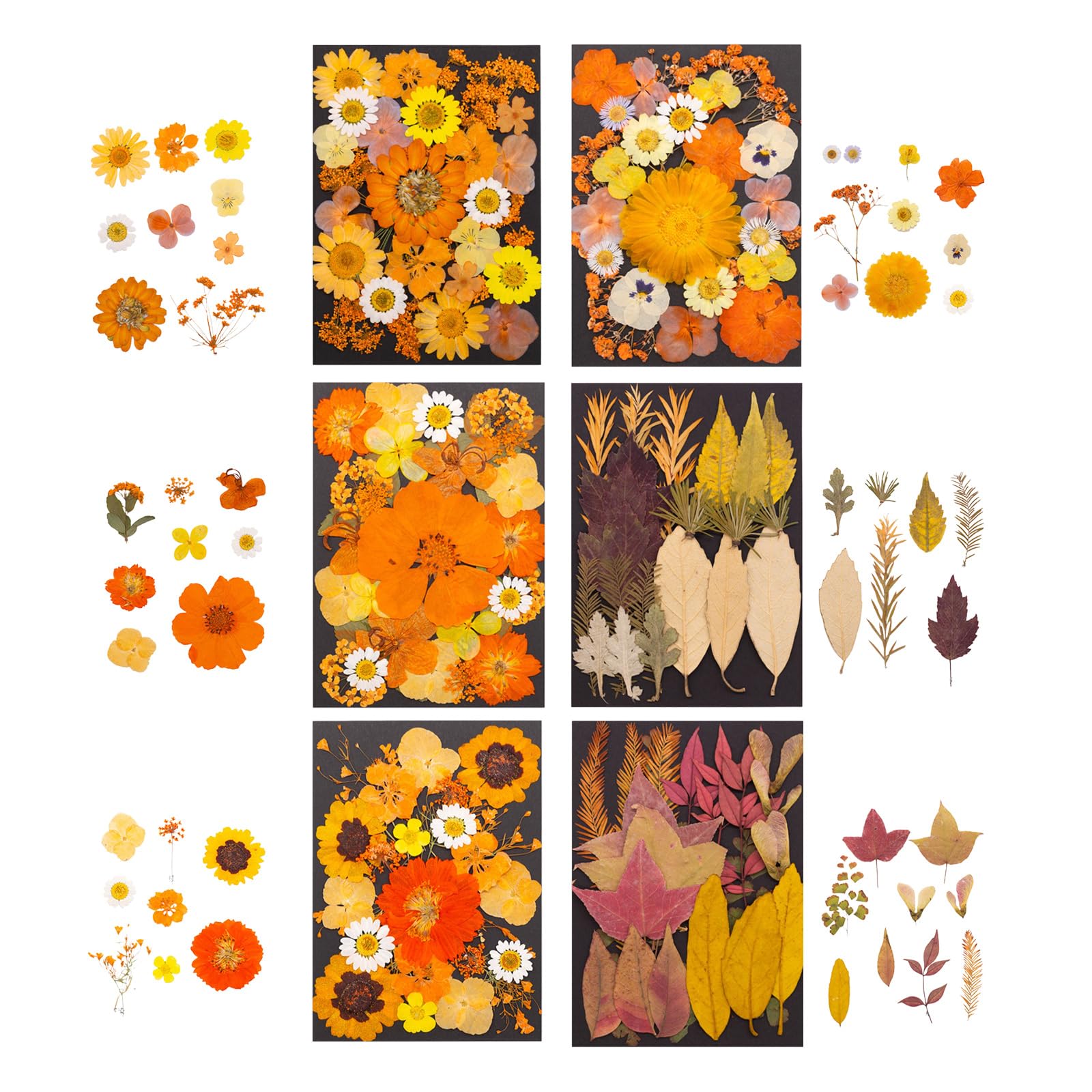 Tsophreniq Natural Dry Flower Leaves Set for Art Craft Scrapbooking Jewelry Making Pressed Dried for Epoxy Resin Pressed Supplies
