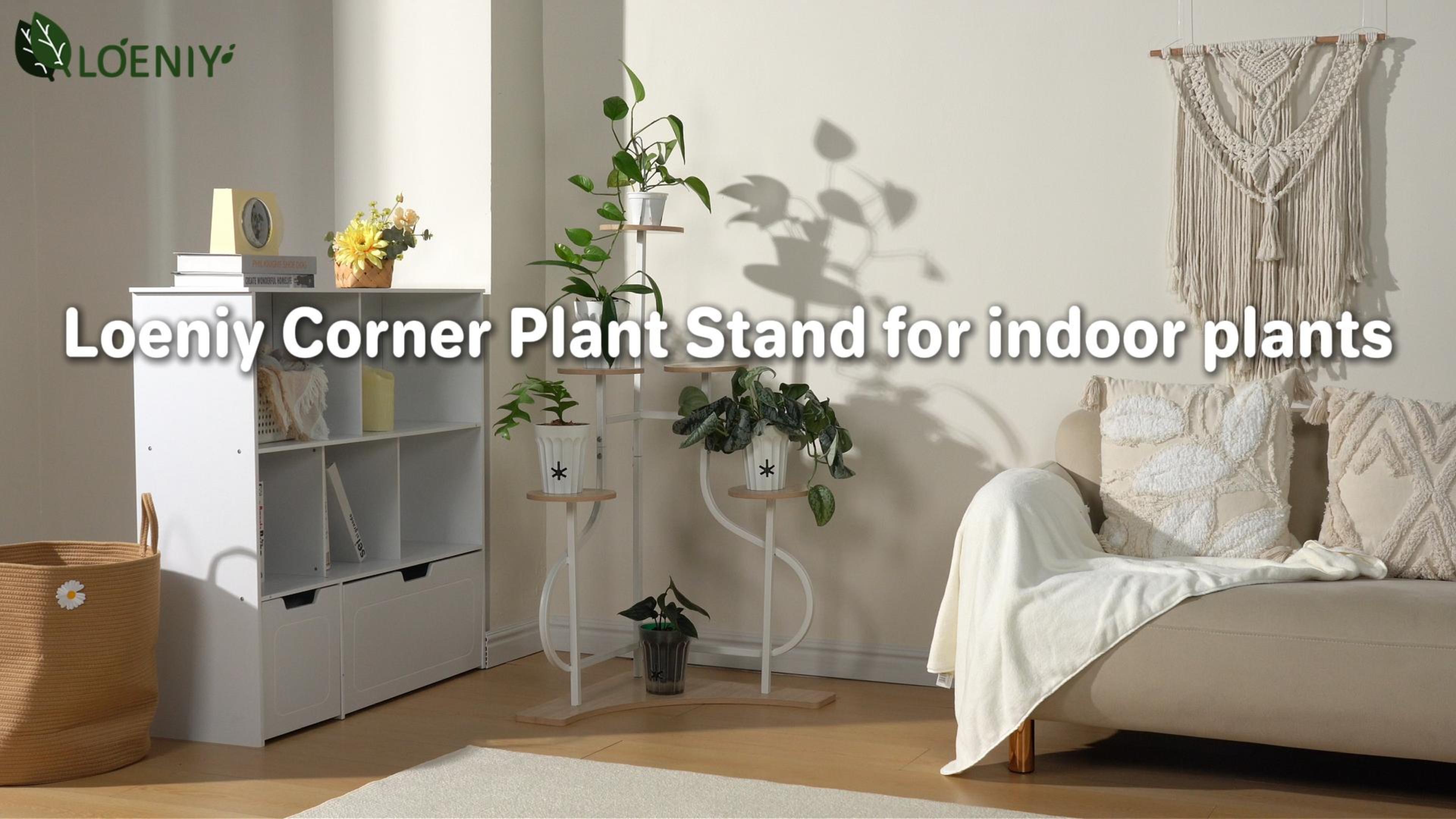 Amazon.com : LOENIY 6-Tier Corner Plant Stand, Indoor Plant Stand