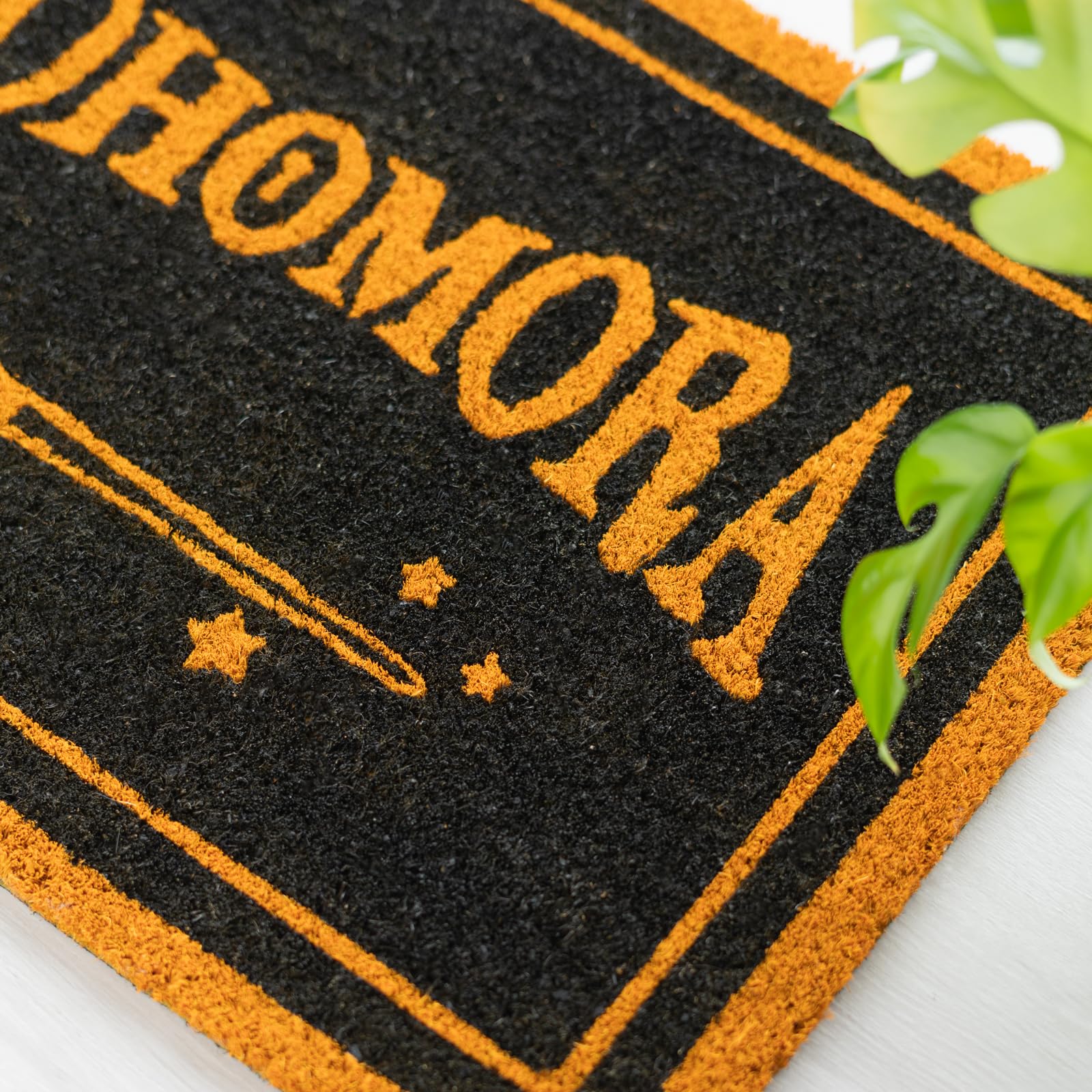 Grupo Erik Harry Potter Door Mat - Alohomora | 15.7 x 23.6 inches | 40 x 60 cm | Coconut Coir, Eco Friendly 100% | Indoor & Outdoor Mat | Harry Potter Gifts