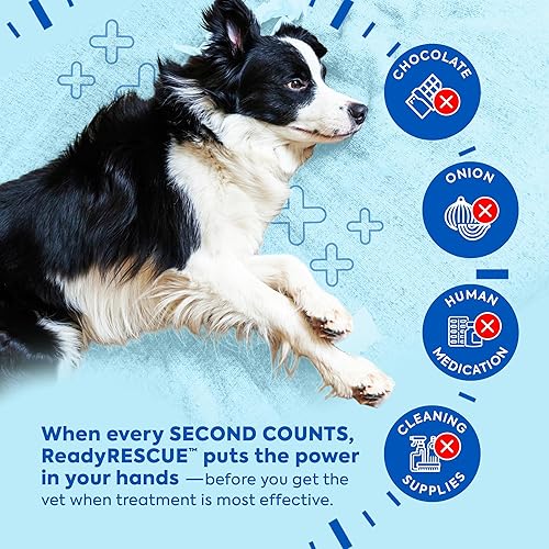 Miniatura 6 de ReadyRESCUE – Next-Generation Activated Charcoal for Dogs & Cats, 30g - Veterinary-Grade Toxin Detox - Emergency Pet First Aid - Fast Acting, Safe &
