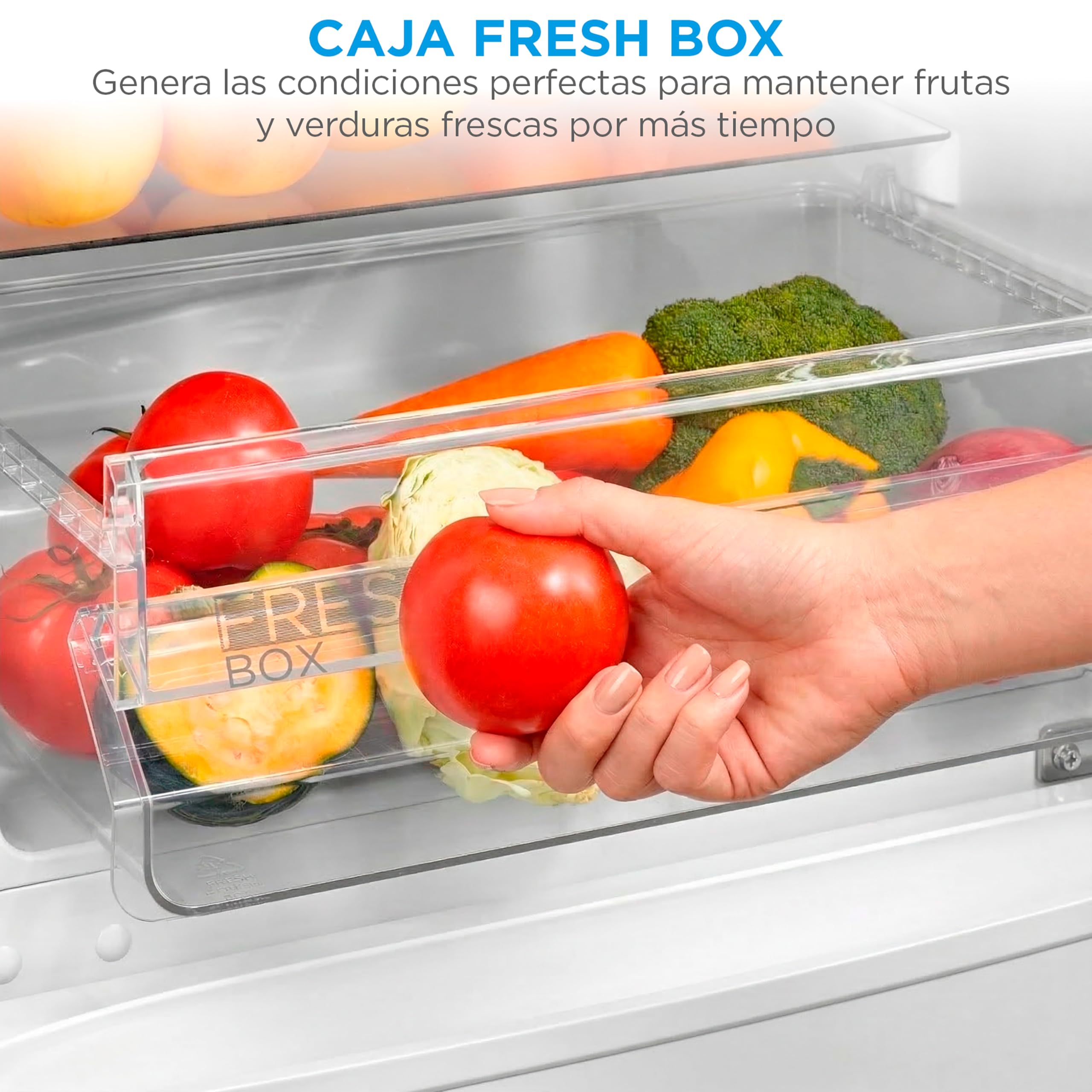 Midea Frigorifico Combi Blanco de 262 L | 55 cm x 177 cm | Nevera Combi con Congelador de 65L y Tecnología Low Frost - Refrigerador Independiente de Bajo Consumo, Puertas Reversibles, Silencioso 39 dB