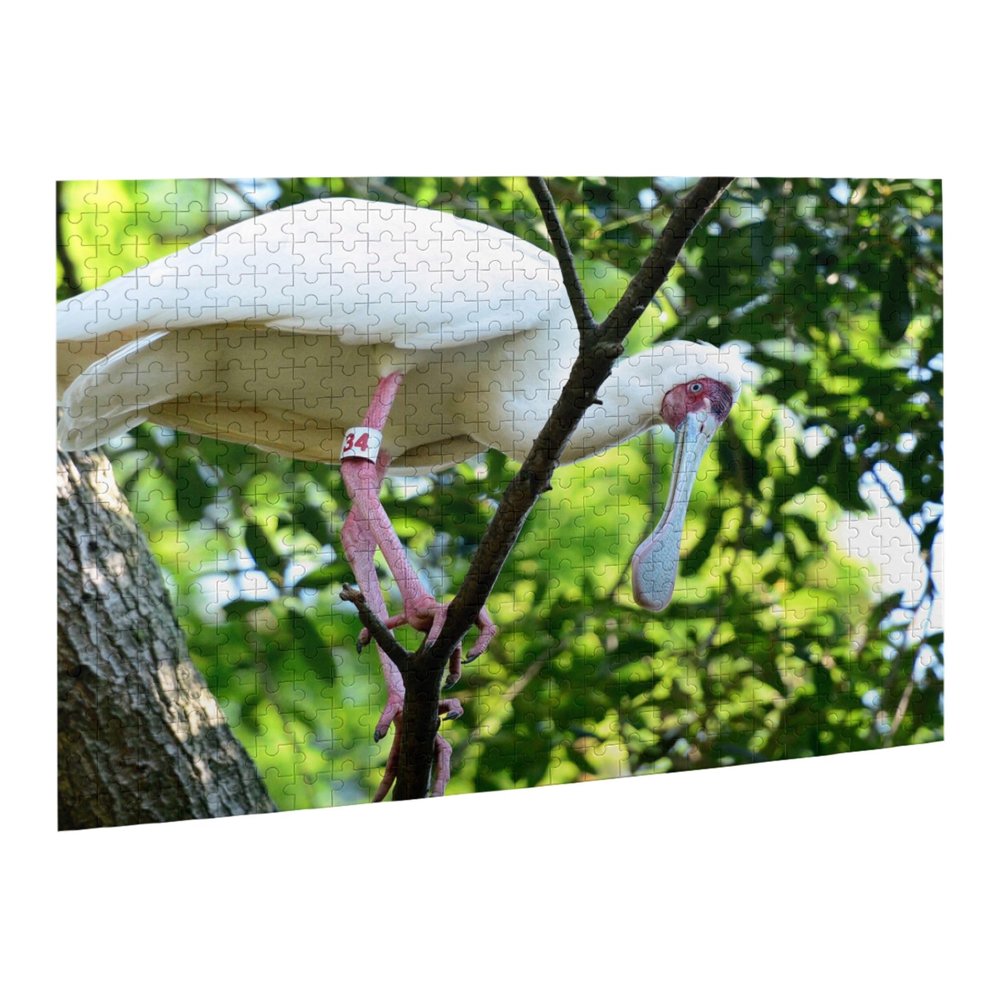  Birds　Dyynia Deco 79 Polystone Bird Metallic 3D Sculpted Floating Wall