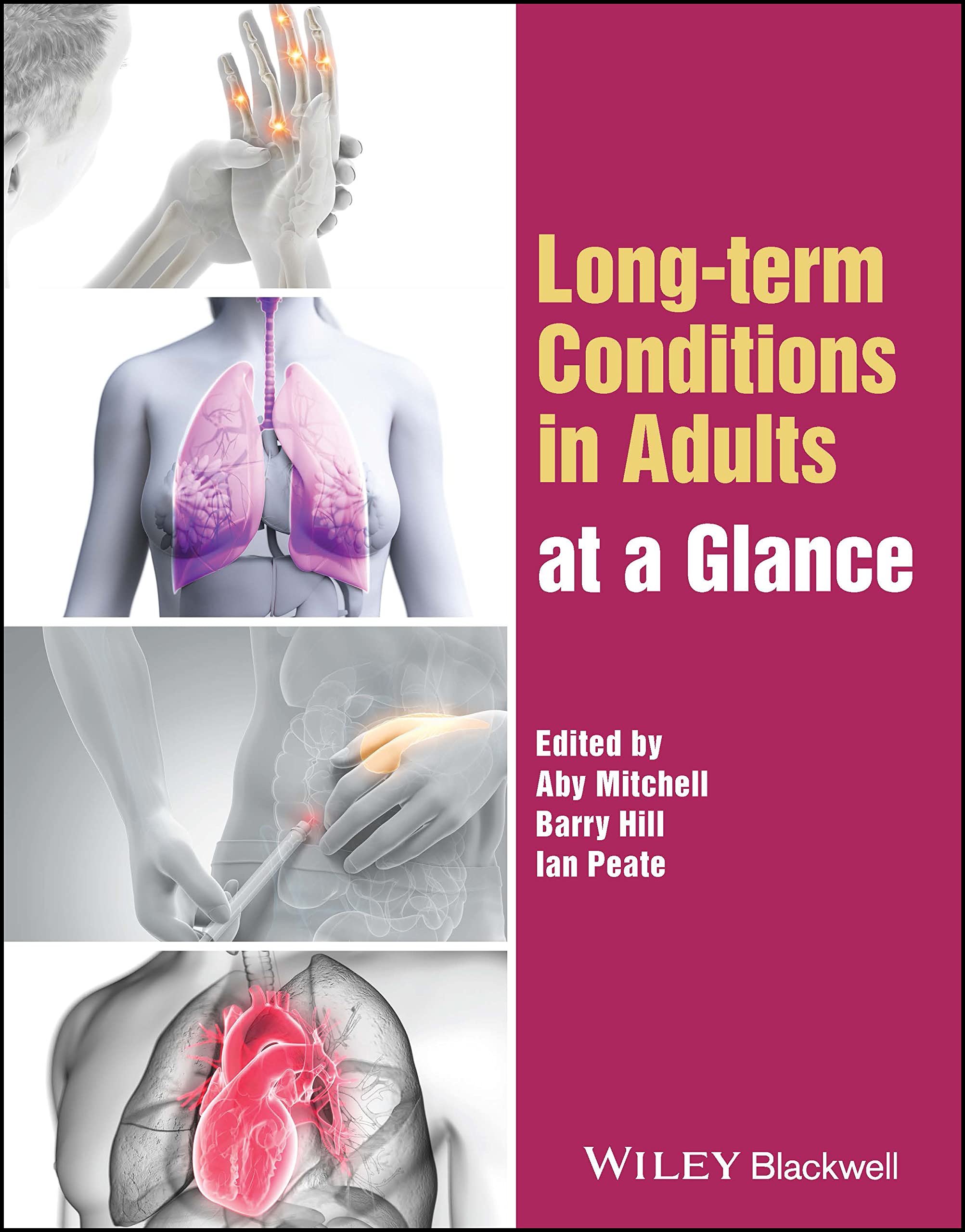 Long-term Conditions in Adults at a Glance (At a Glance (Nursing and Healthcare))