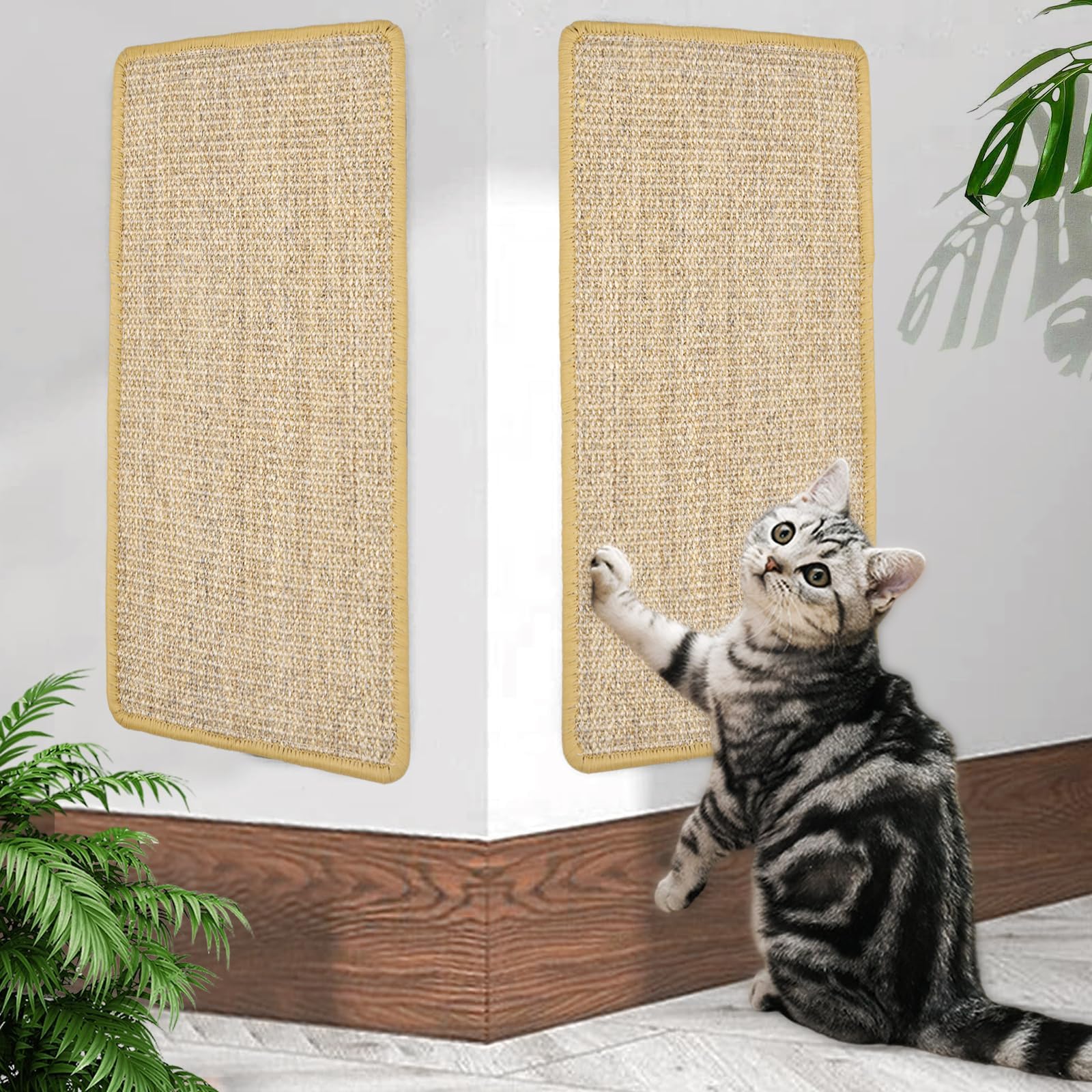 Sisal Teppich Wand Katze
