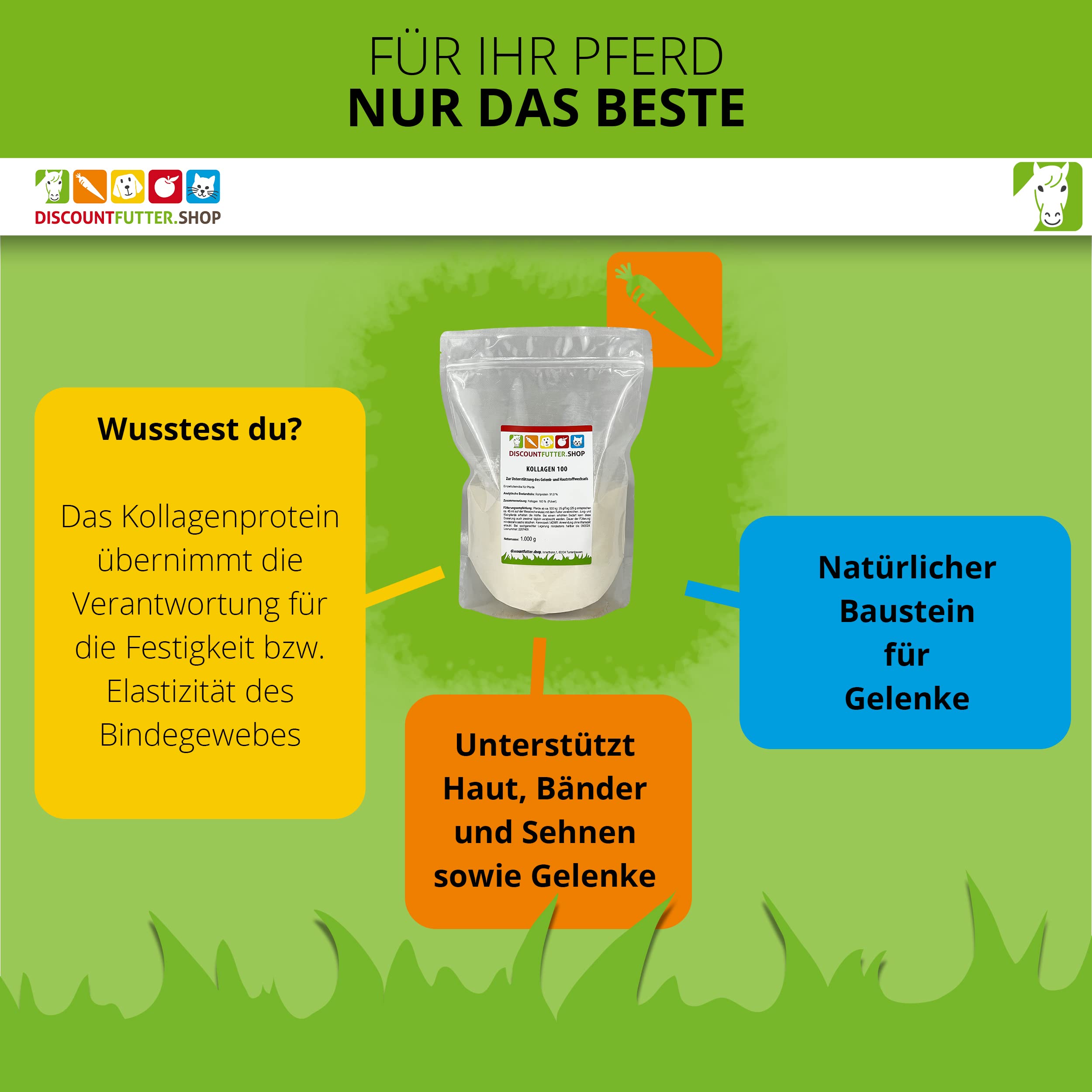 Kollagen 100 Pulver für Pferde | 1 kg Pulver | 100% reines Kollagenhydrolysat | Unterstützt Gelenkknorpel, Sehnen & Bänder | Vorbeugung von Arthrose | Höchste Reinheit