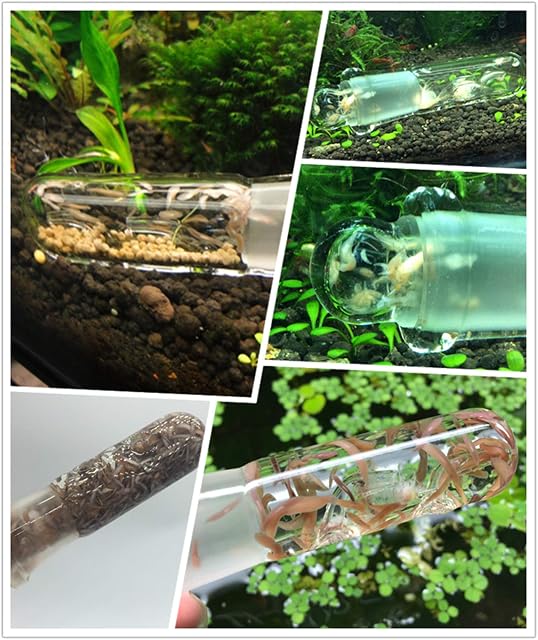 Foto 4 de 8 de DXIA 2 Piezas Trampa de Vidrio para Sanguijuelas, Cristal Vidrio Pluma Trampero Tubo Transparente 3 Fori