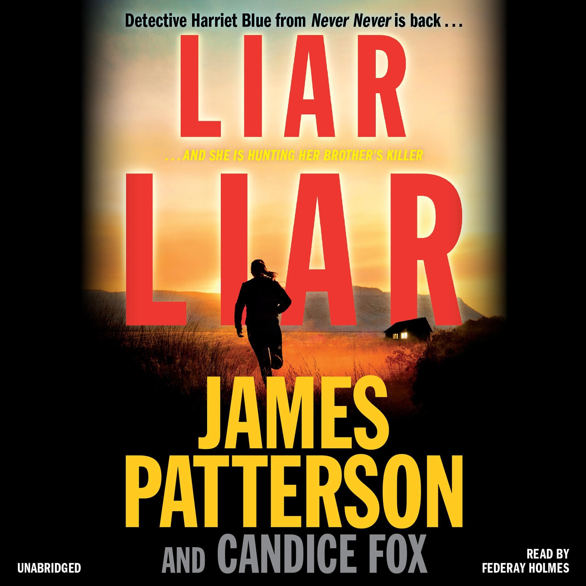 Cover art for Liar Liar