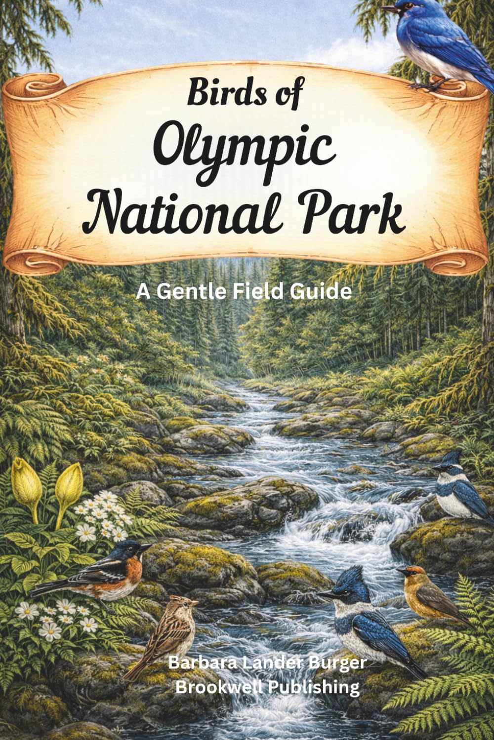 Birds of Olympic National Park