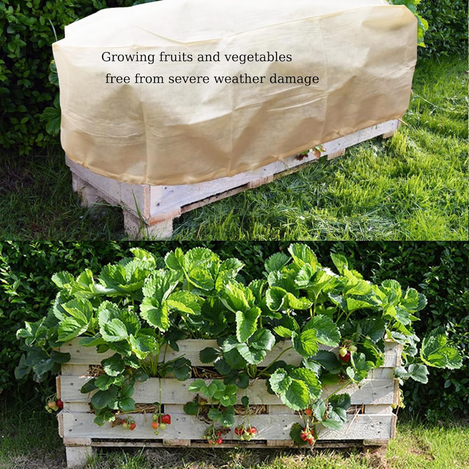 Housse De Protection Pour Jardinière Rectangulaire Extérieure - Imperméable, Résistante Aux UV - Taille S à XL - 10