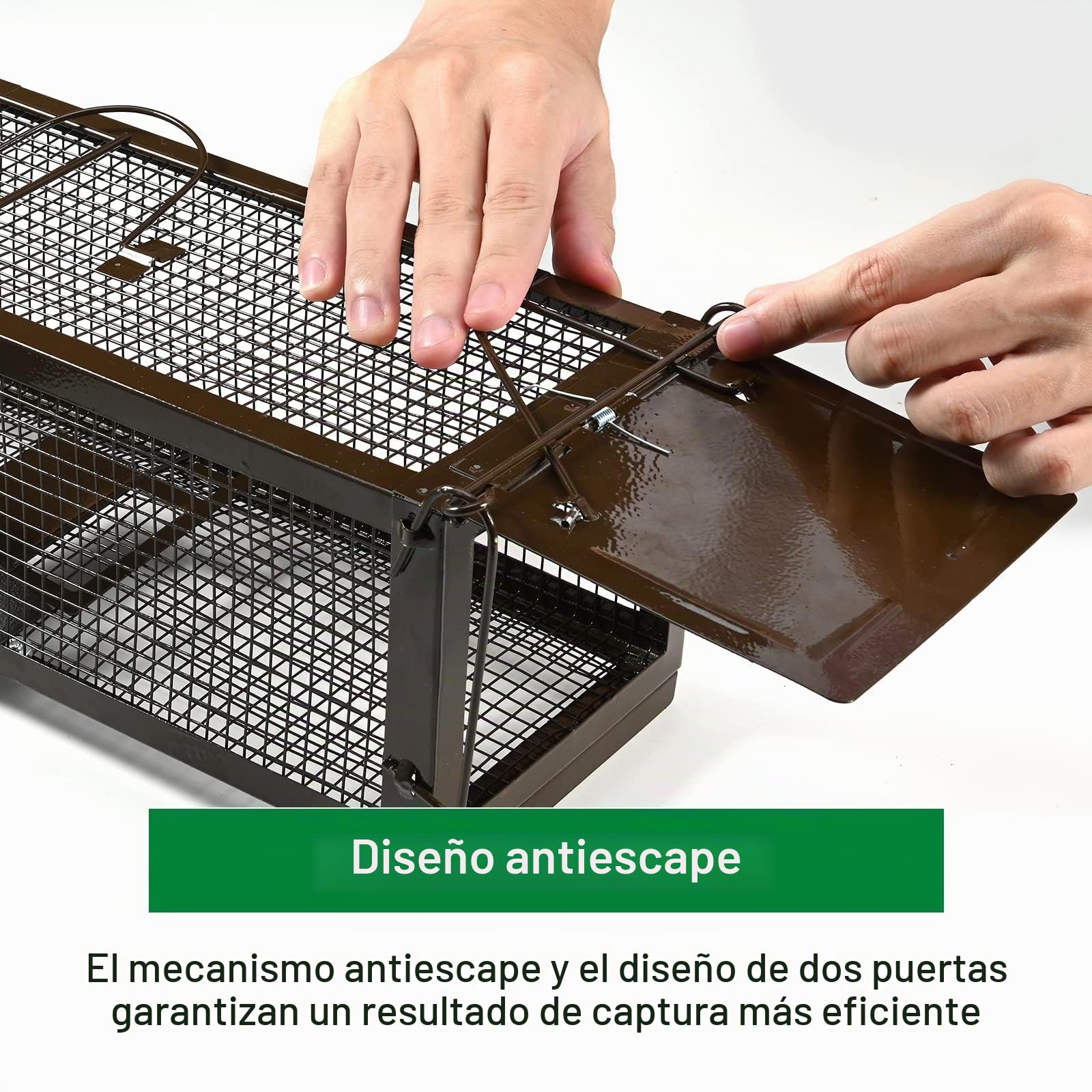 Ratzfatz Dos Pack Trampa para Ratones, con Cebo Vivo Diseño, Reutilizable de Dos Puertas Jaula Trampa Gatos, Interiores Exteriores Sensibilidad Ajustable, para Atrapar Ratones Ratas y Otros Roedores